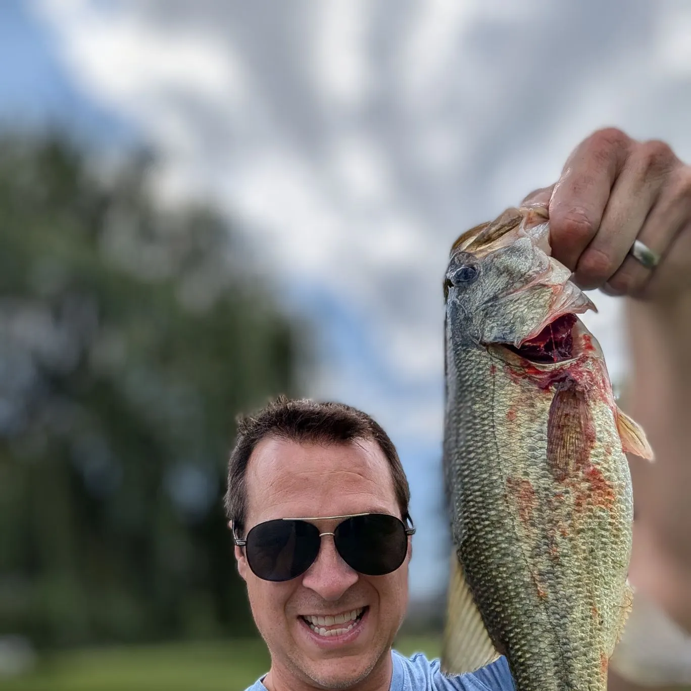 Largemouth bass caught on Fishbrain