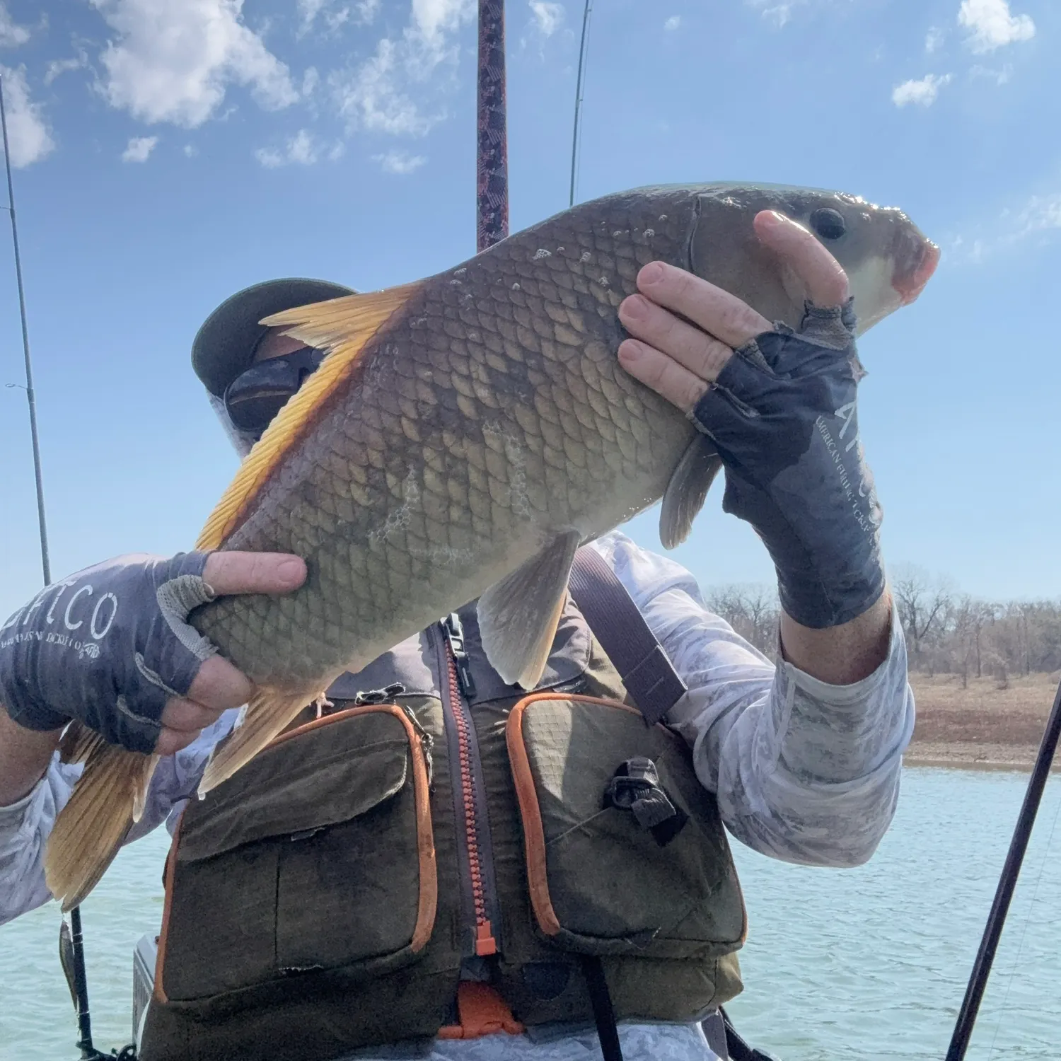 The most recent Black buffalo catches on Fishbrain