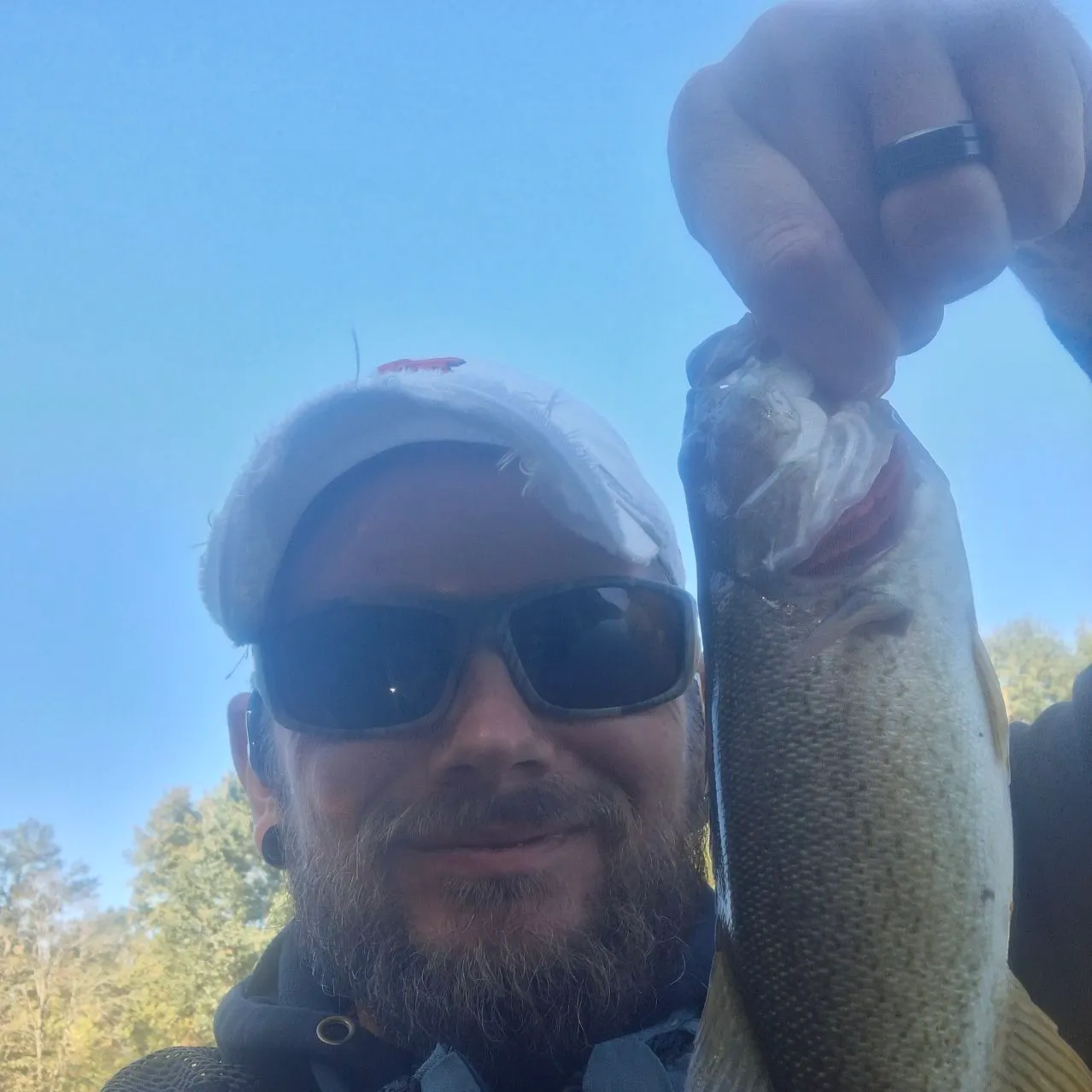 Smallmouth bass caught on Fishbrain