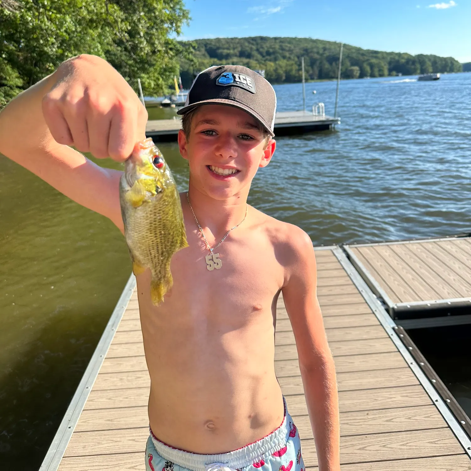 Rock bass caught on Fishbrain