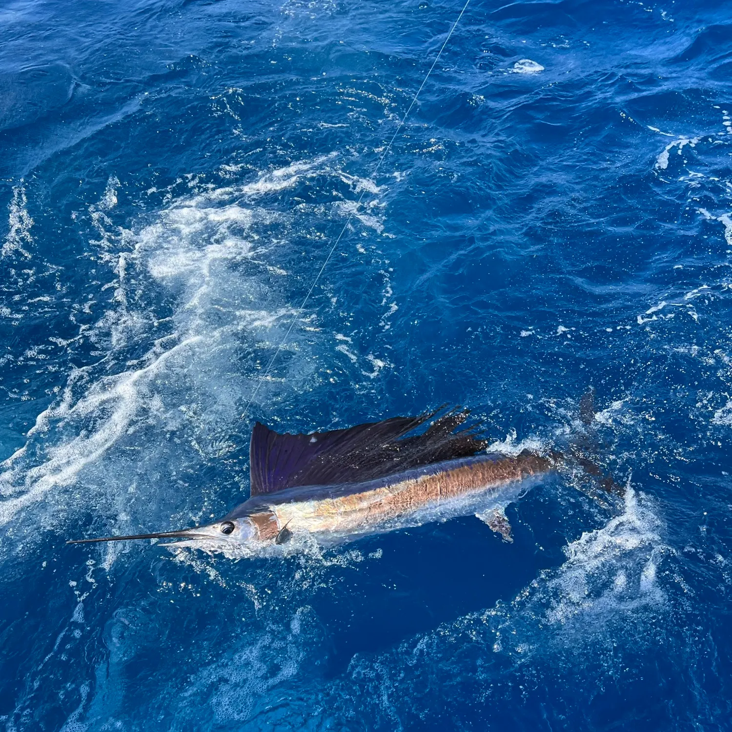 most liked catch image