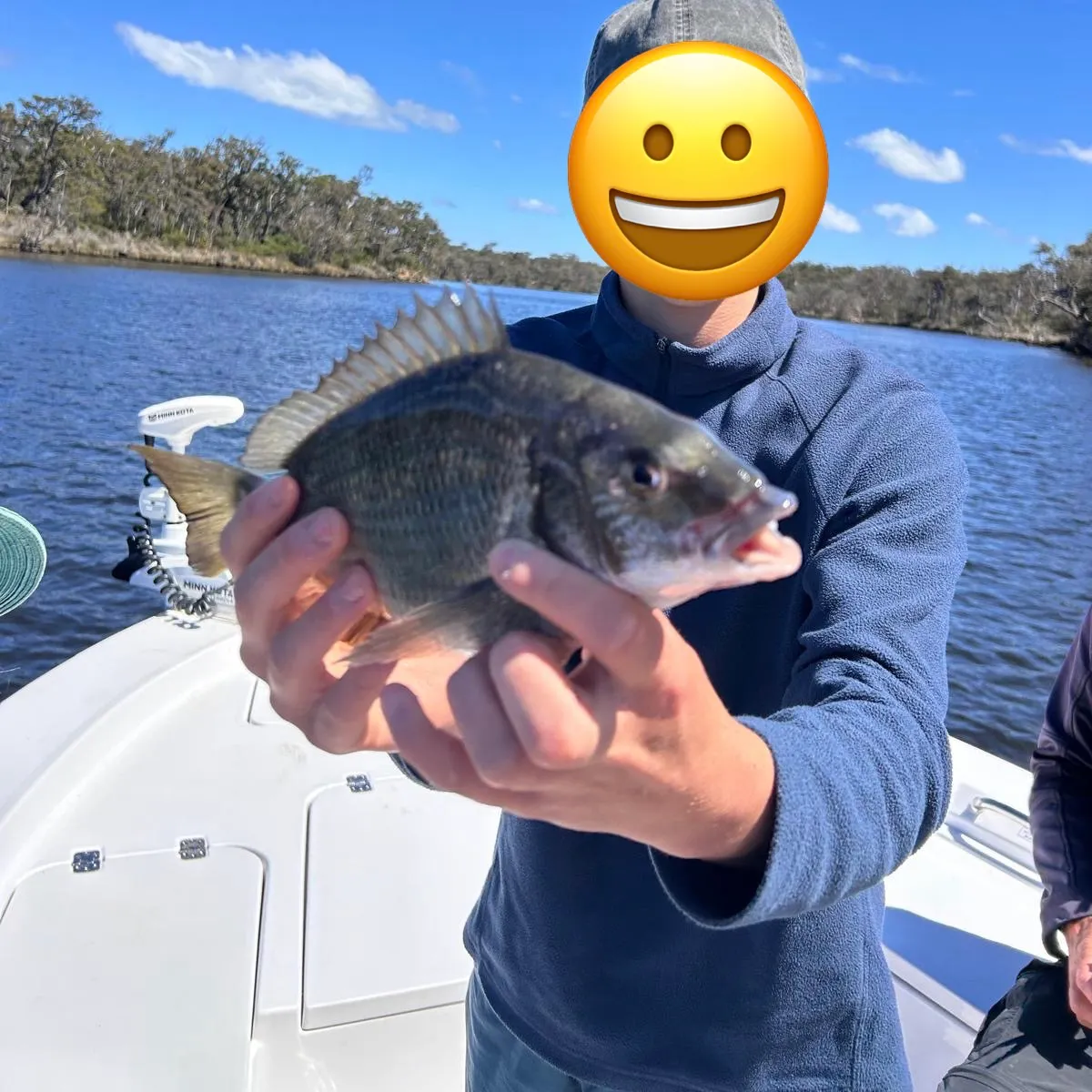 Southern black bream caught on Fishbrain