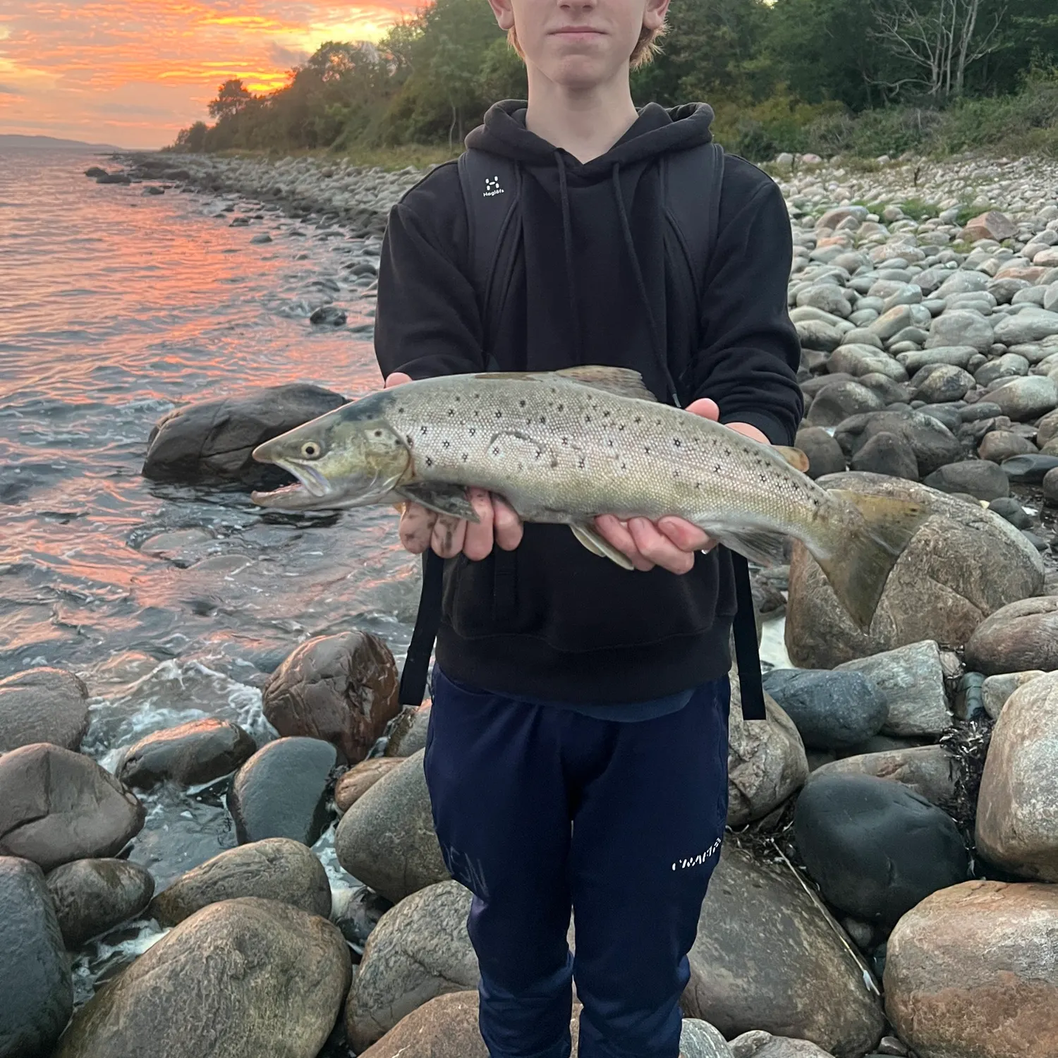 Sea trout caught on Fishbrain