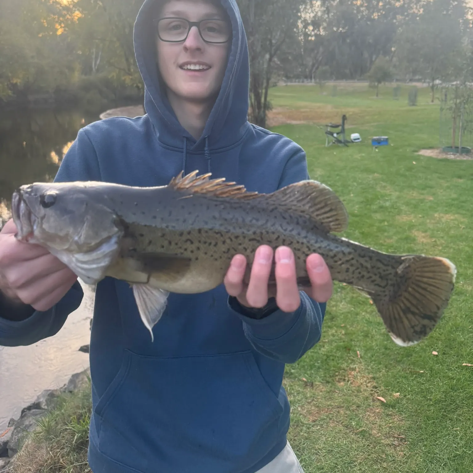 The most recent Trout cod catches on Fishbrain