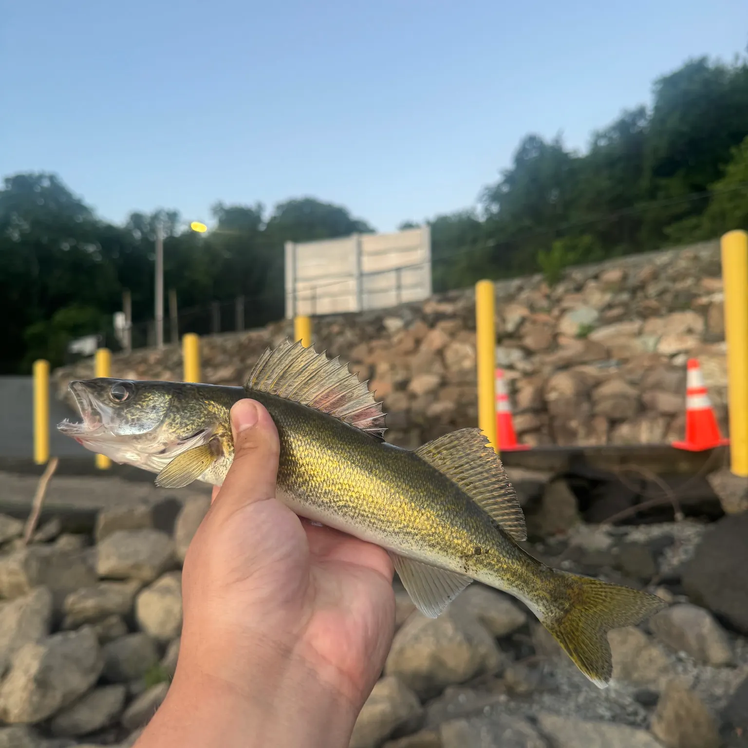 catch