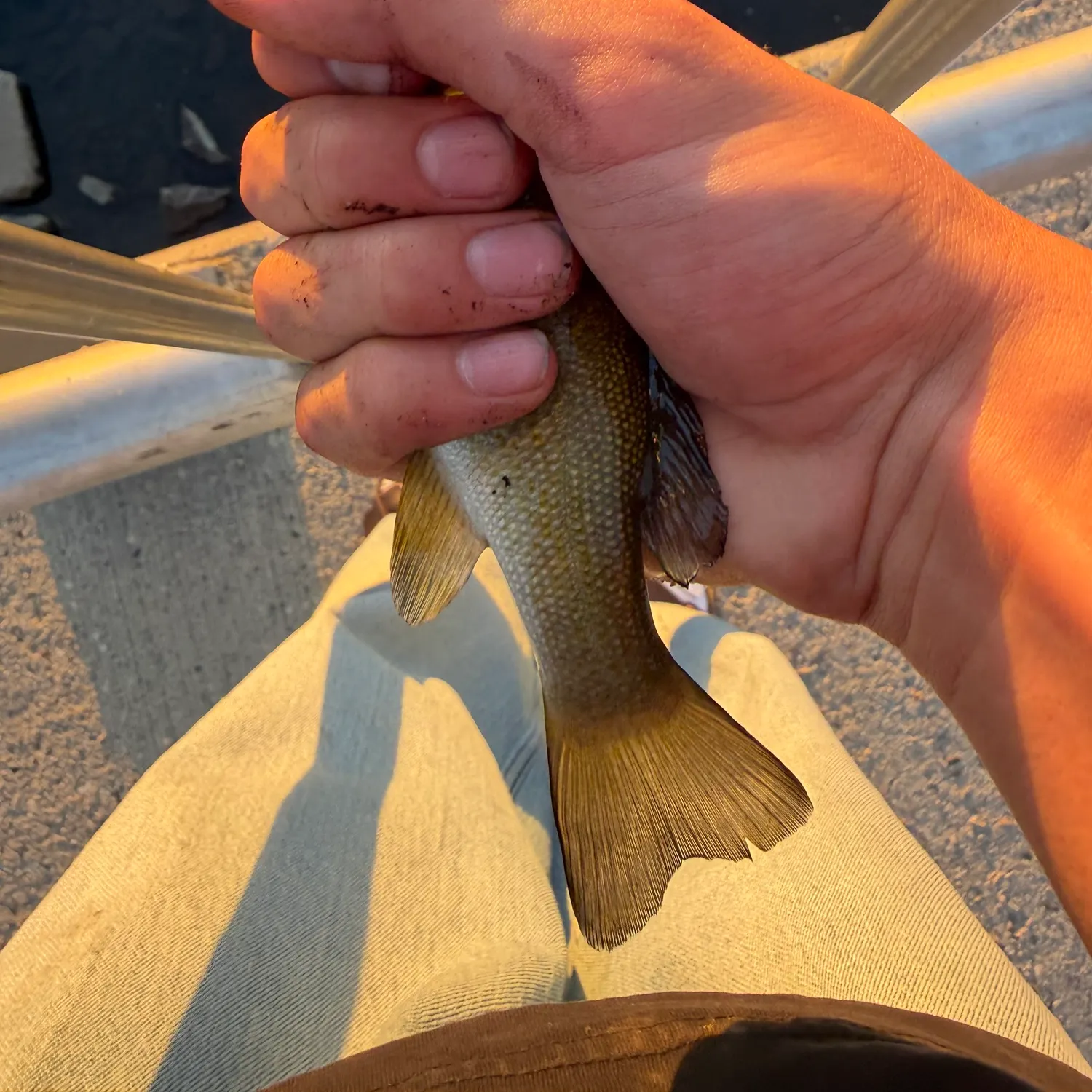 catch