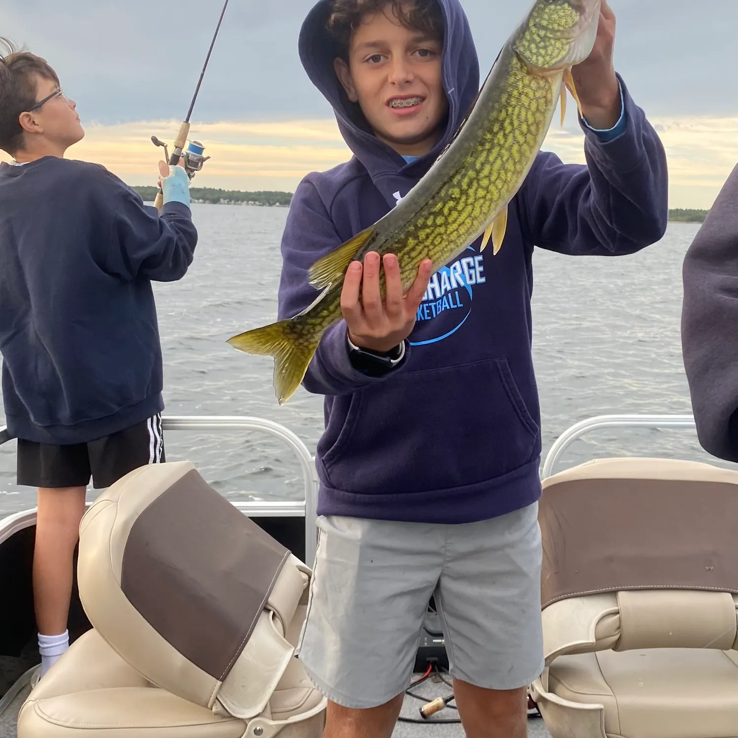 Chain pickerel caught on Fishbrain
