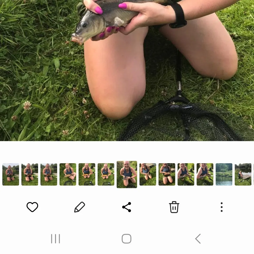 recently logged catches