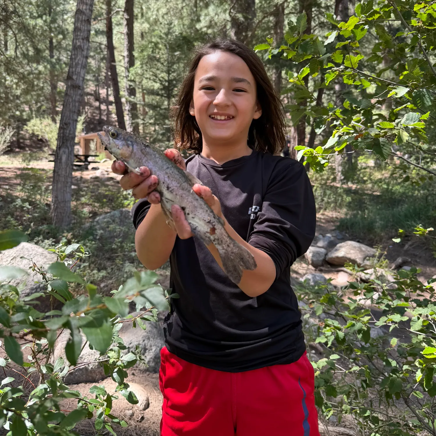Rainbow trout caught on Fishbrain