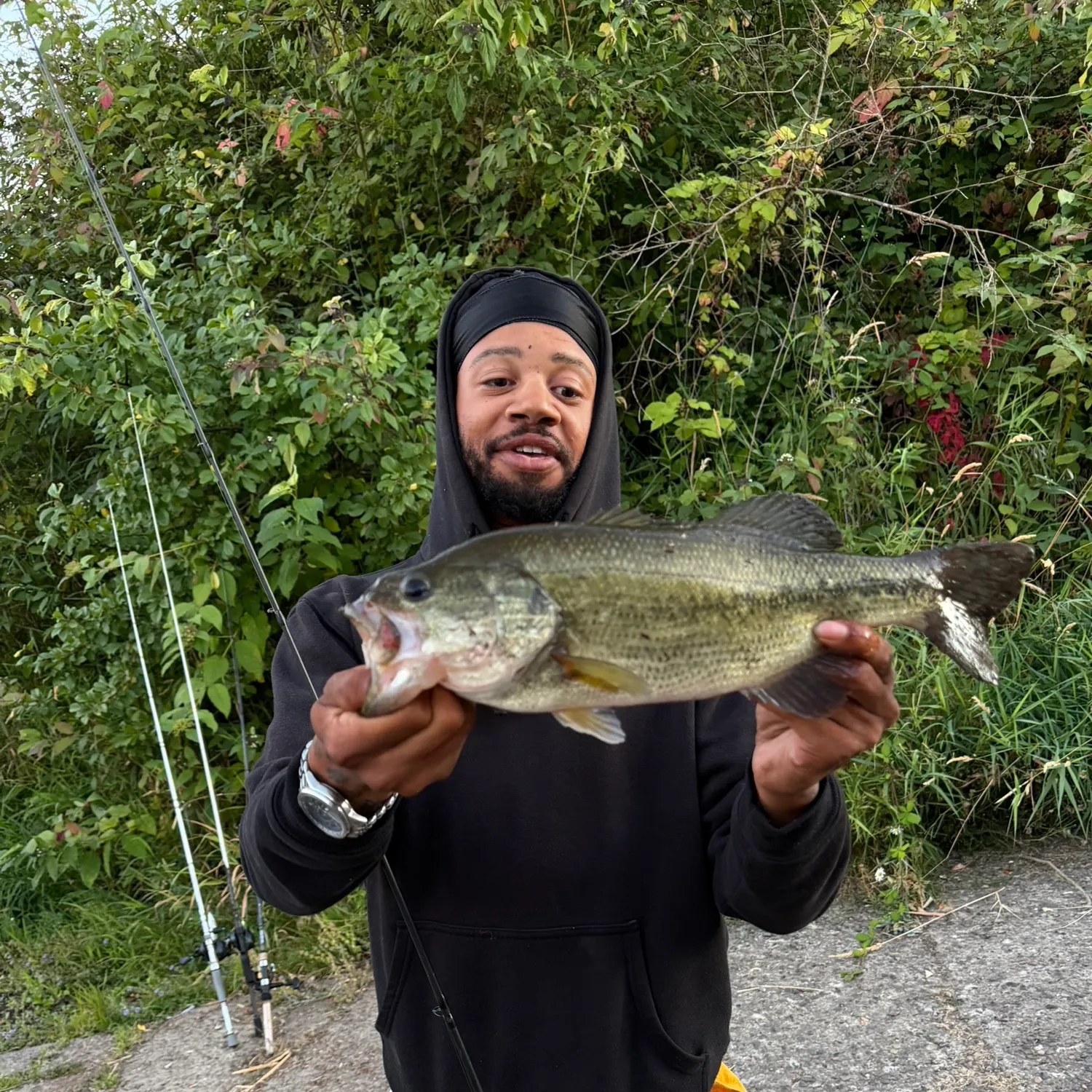 Largemouth bass caught on Fishbrain