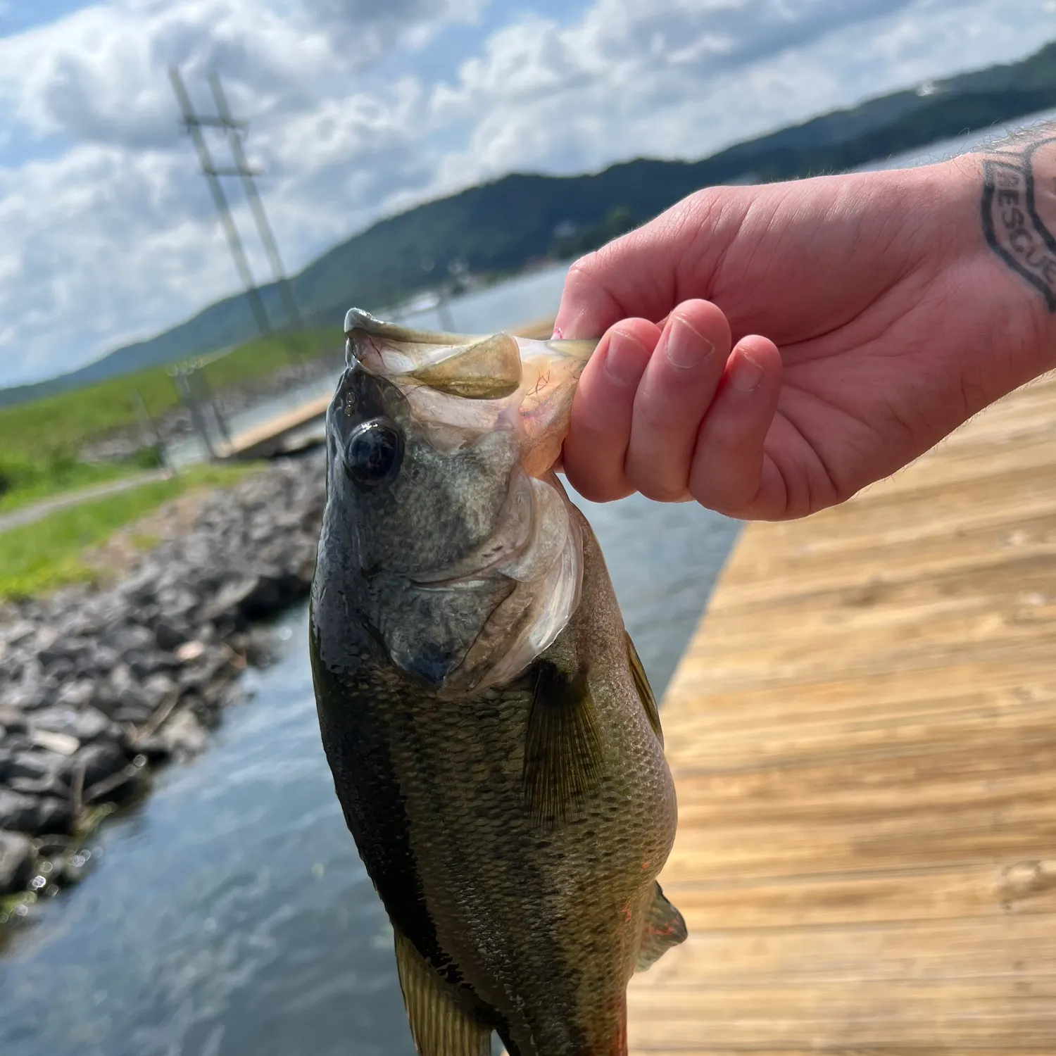angler catch