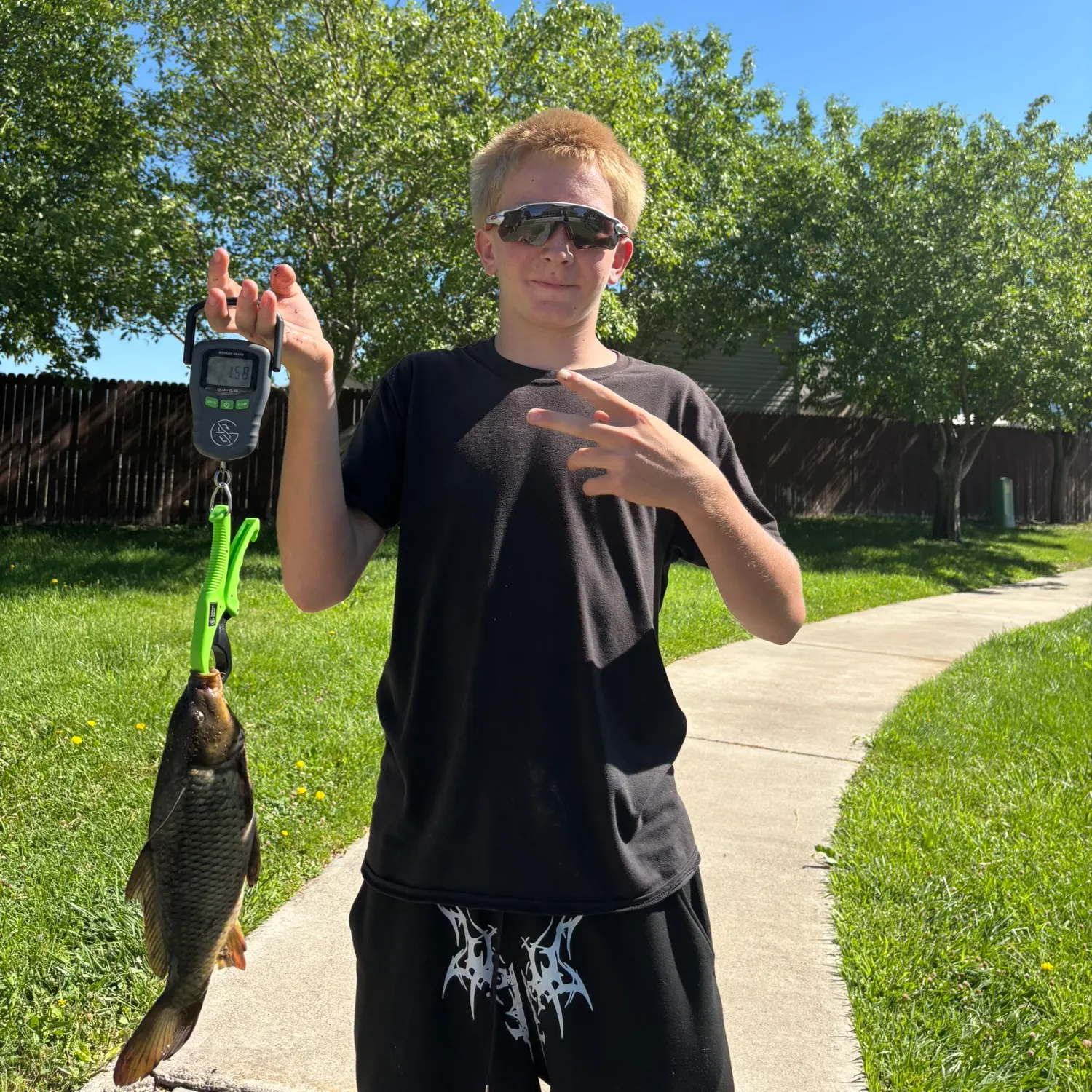 recently logged catches