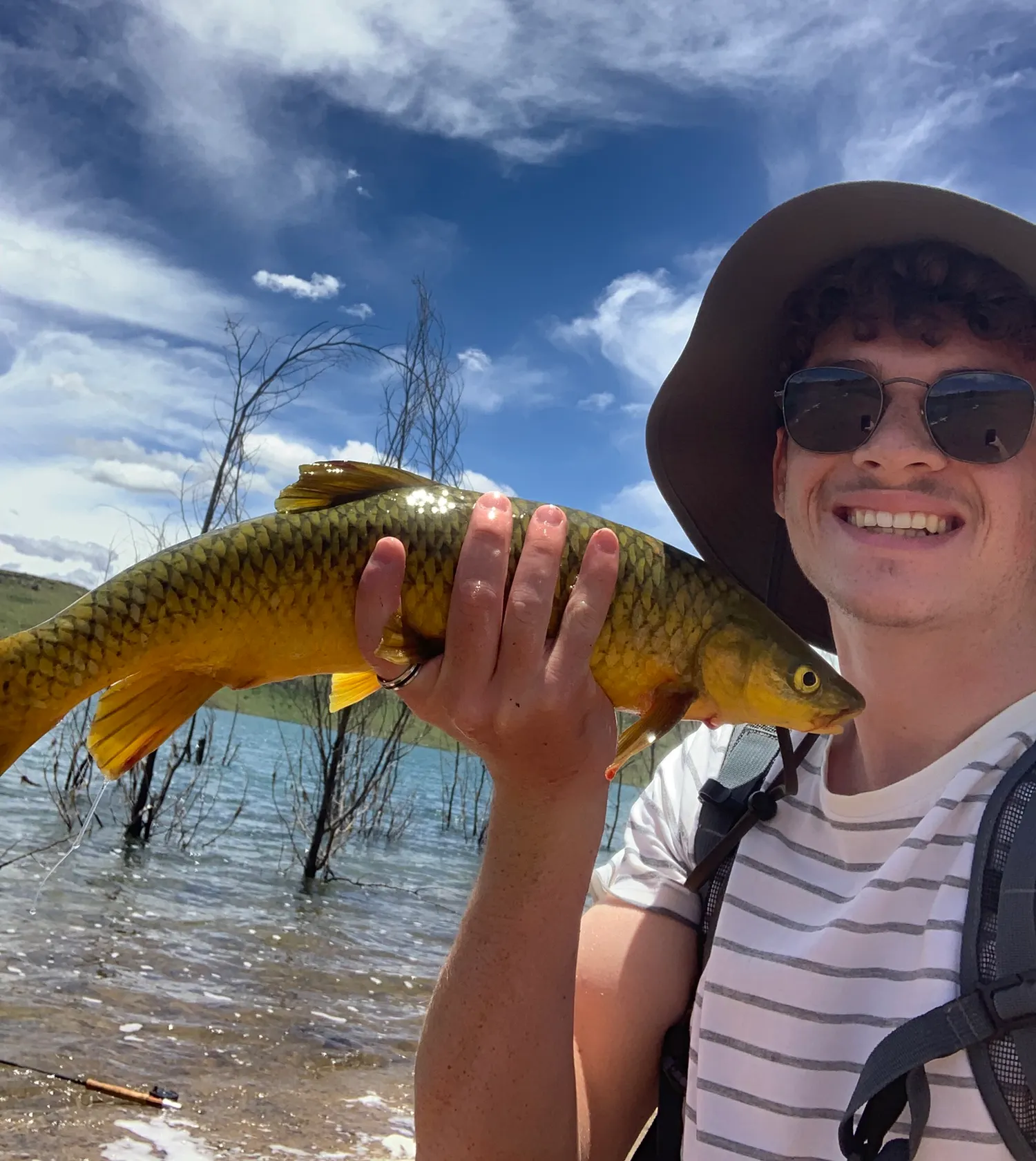 The most popular recent Smallmouth yellowfish catch on Fishbrain