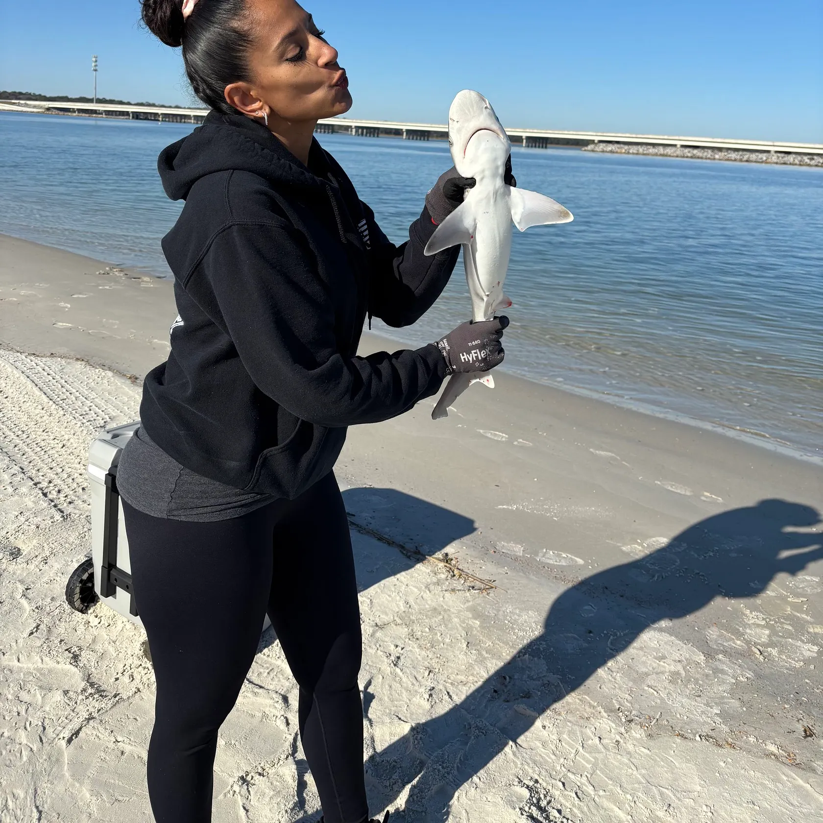 The most recent Atlantic sharpnose shark catches on Fishbrain