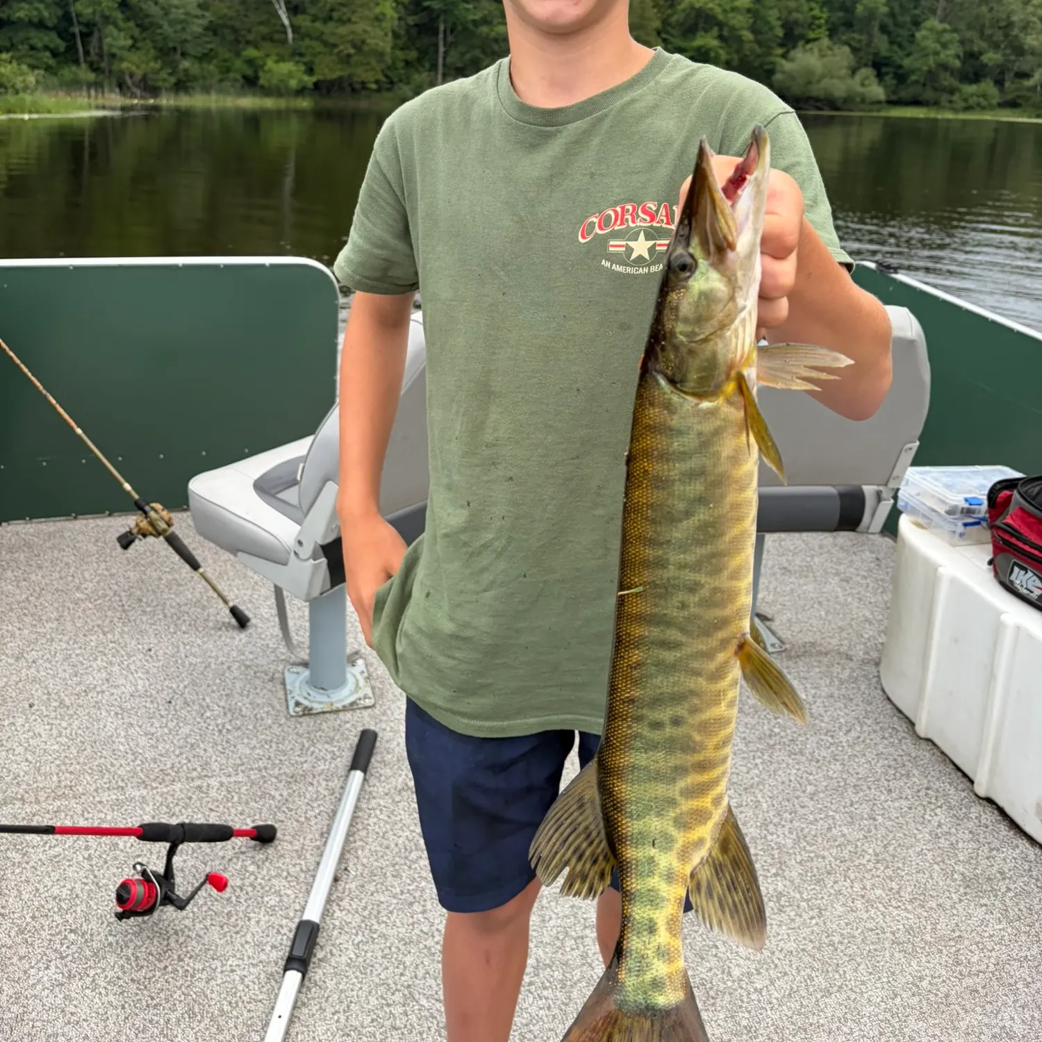 Tiger muskie caught on Fishbrain