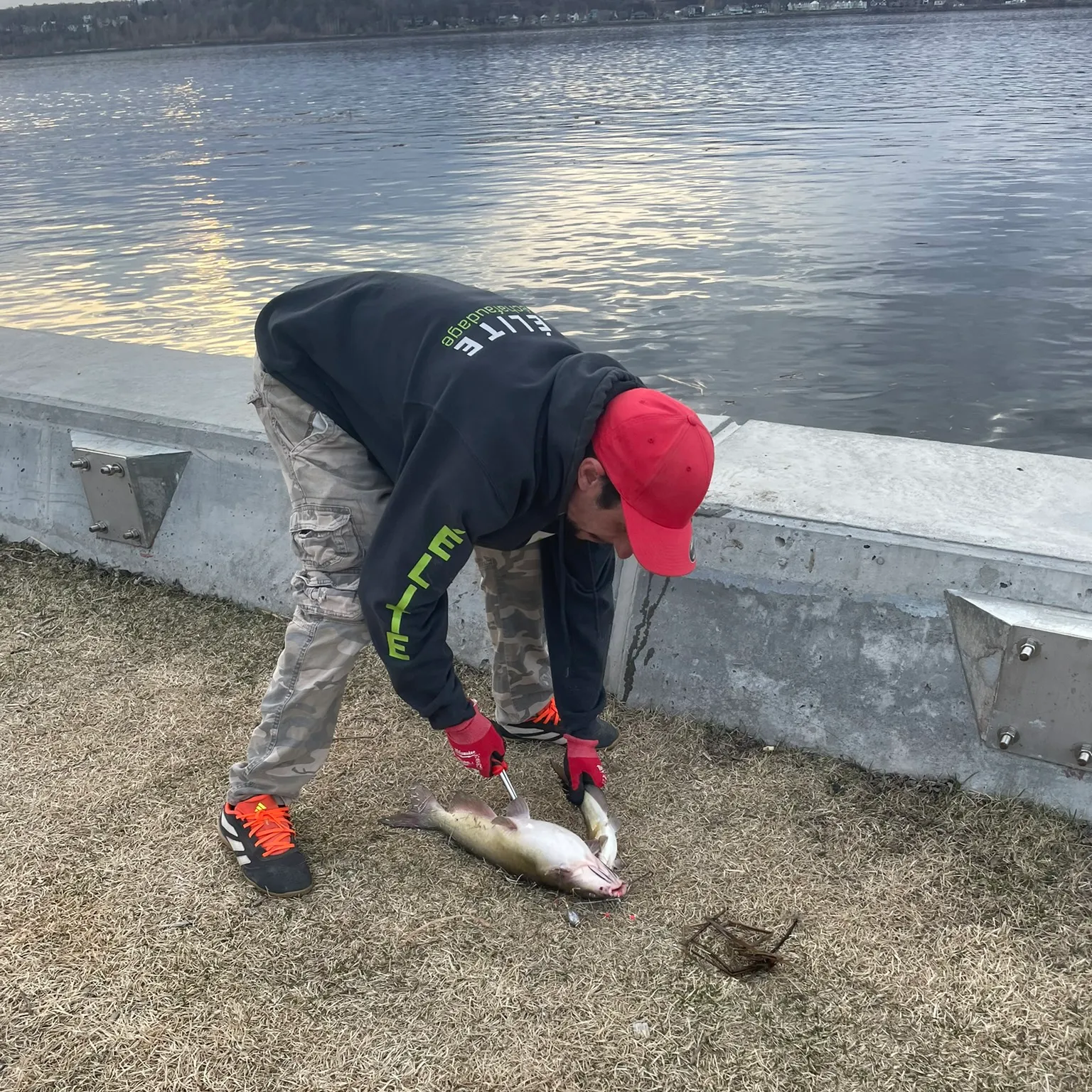 catch