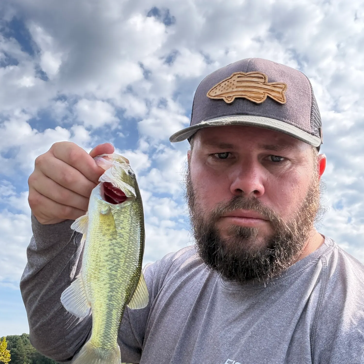 Largemouth bass caught on Fishbrain