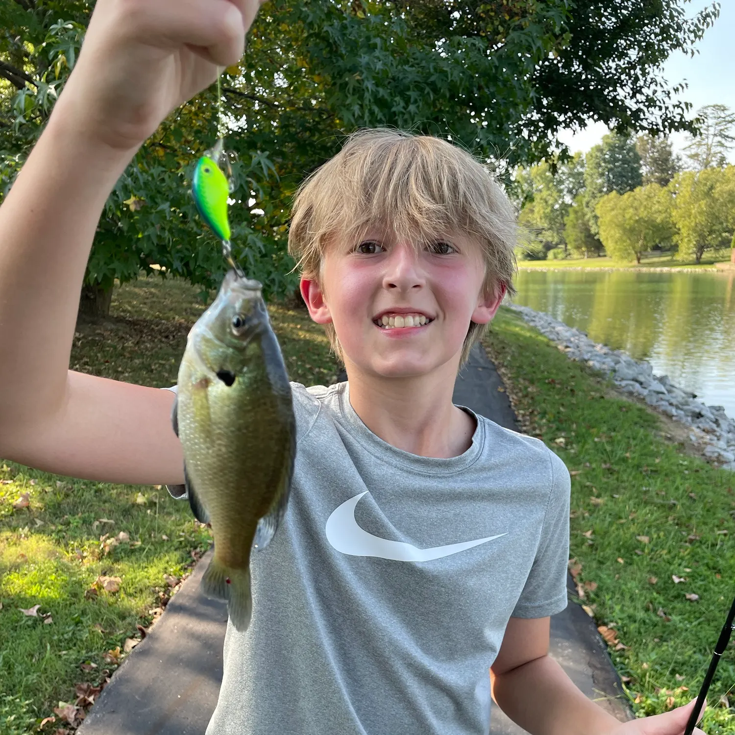 Bluegill caught on Fishbrain
