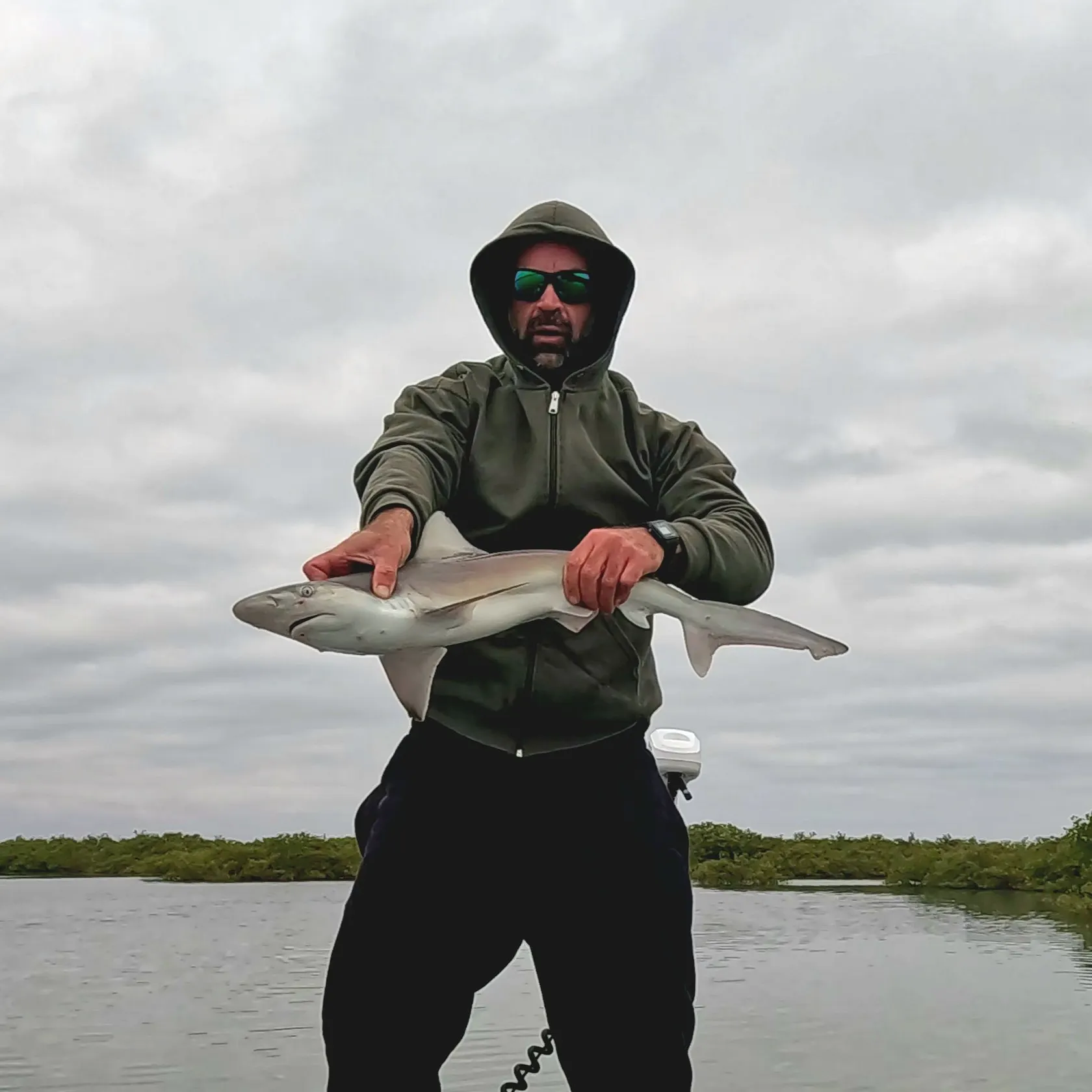 The most recent Finetooth shark catches on Fishbrain