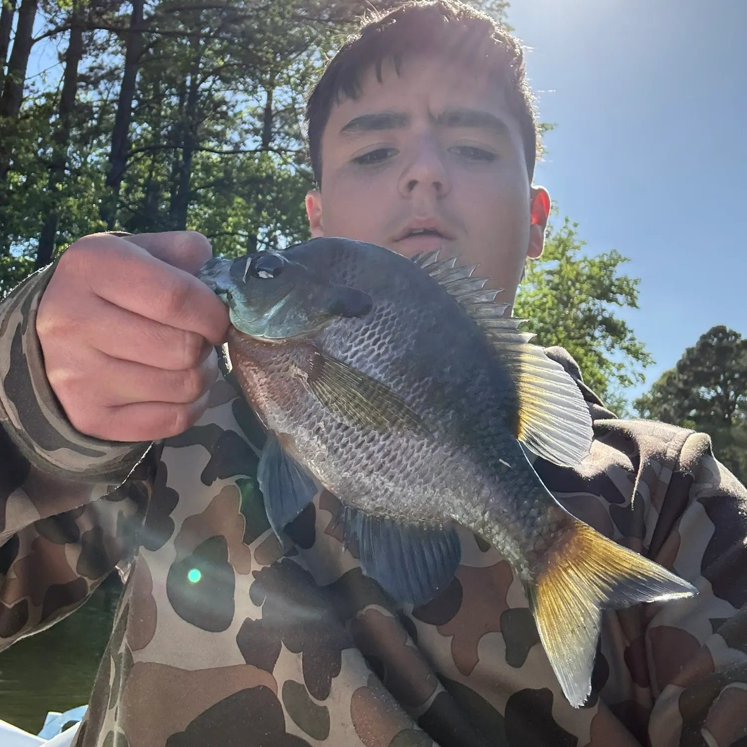 catch