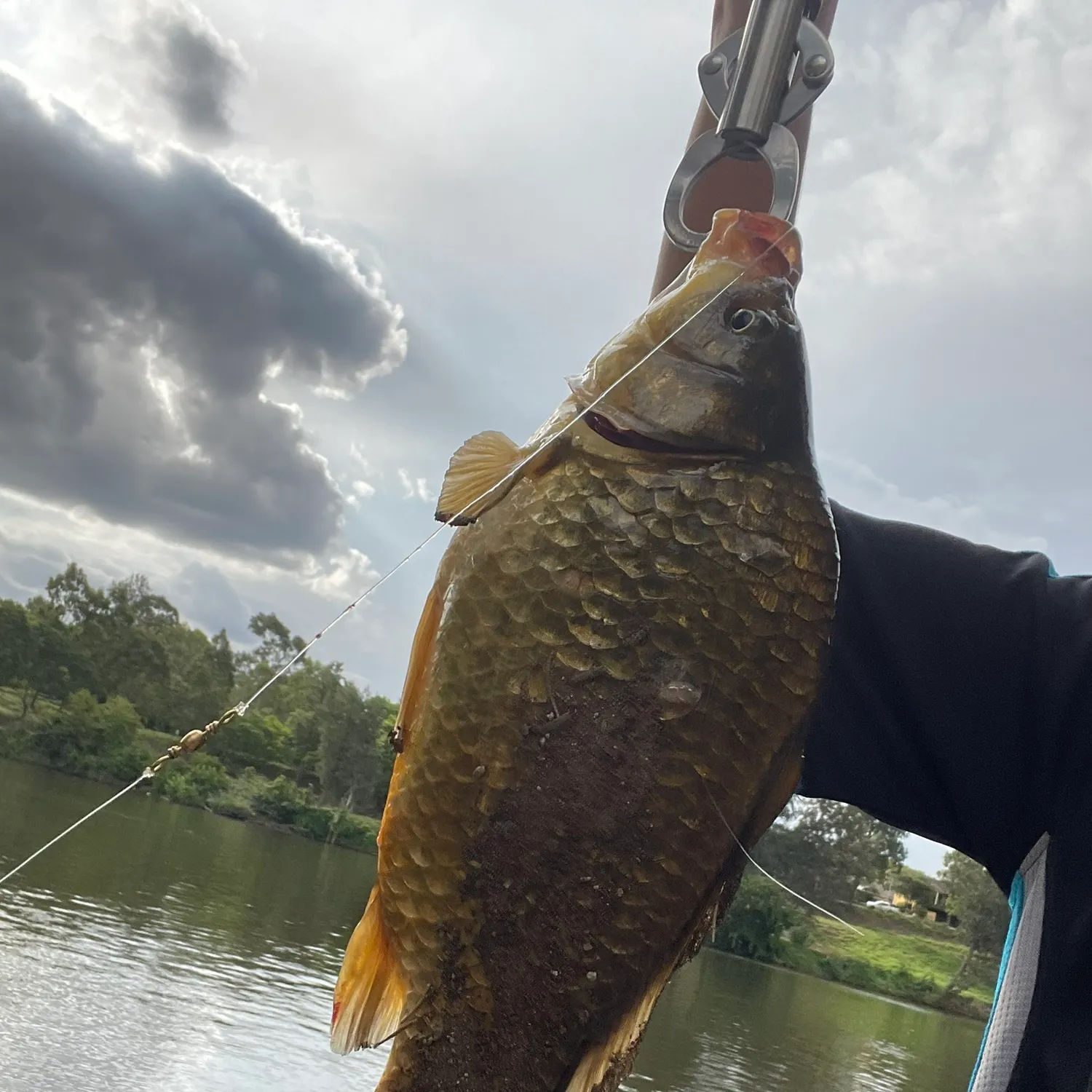 catch