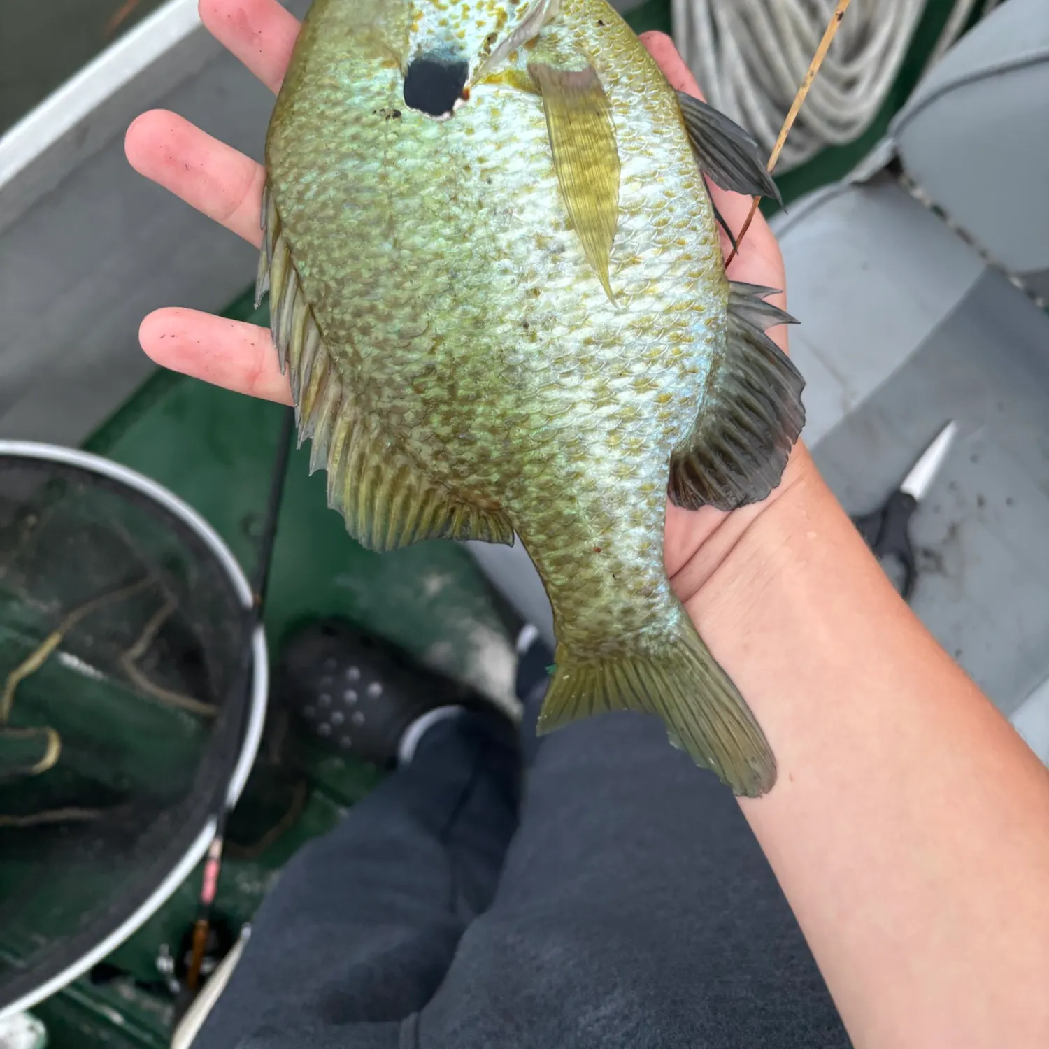 catch