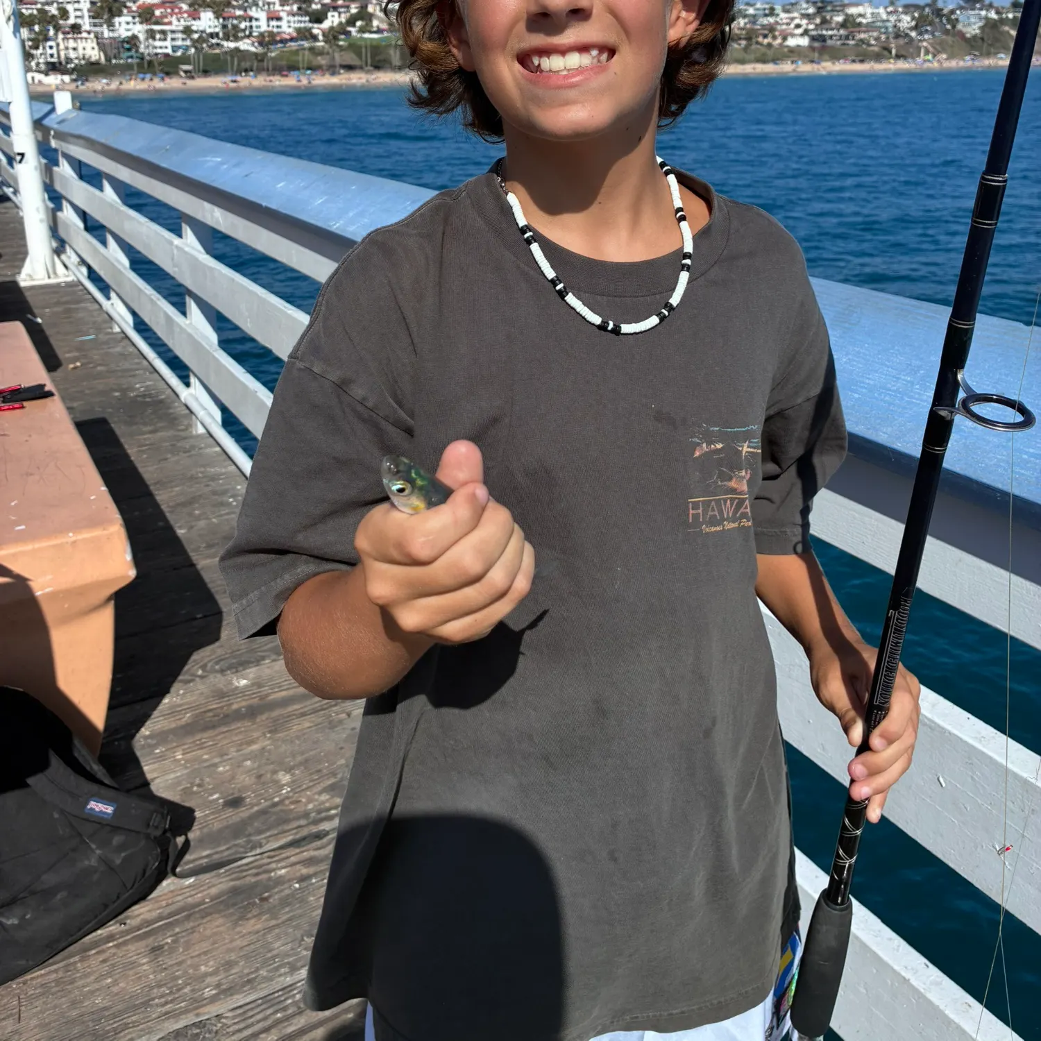 The most recent Surf smelt catches on Fishbrain