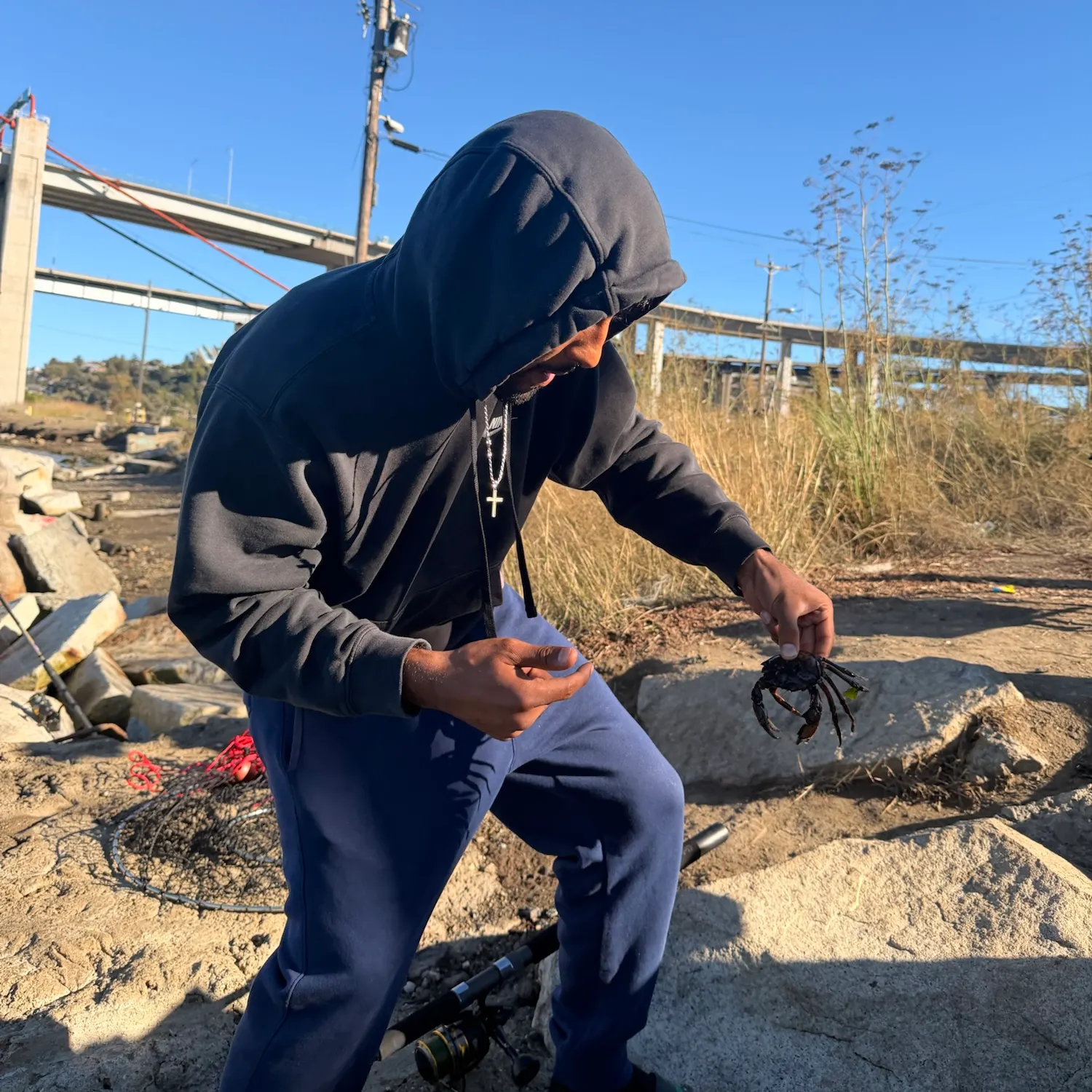 Warty crab caught on Fishbrain