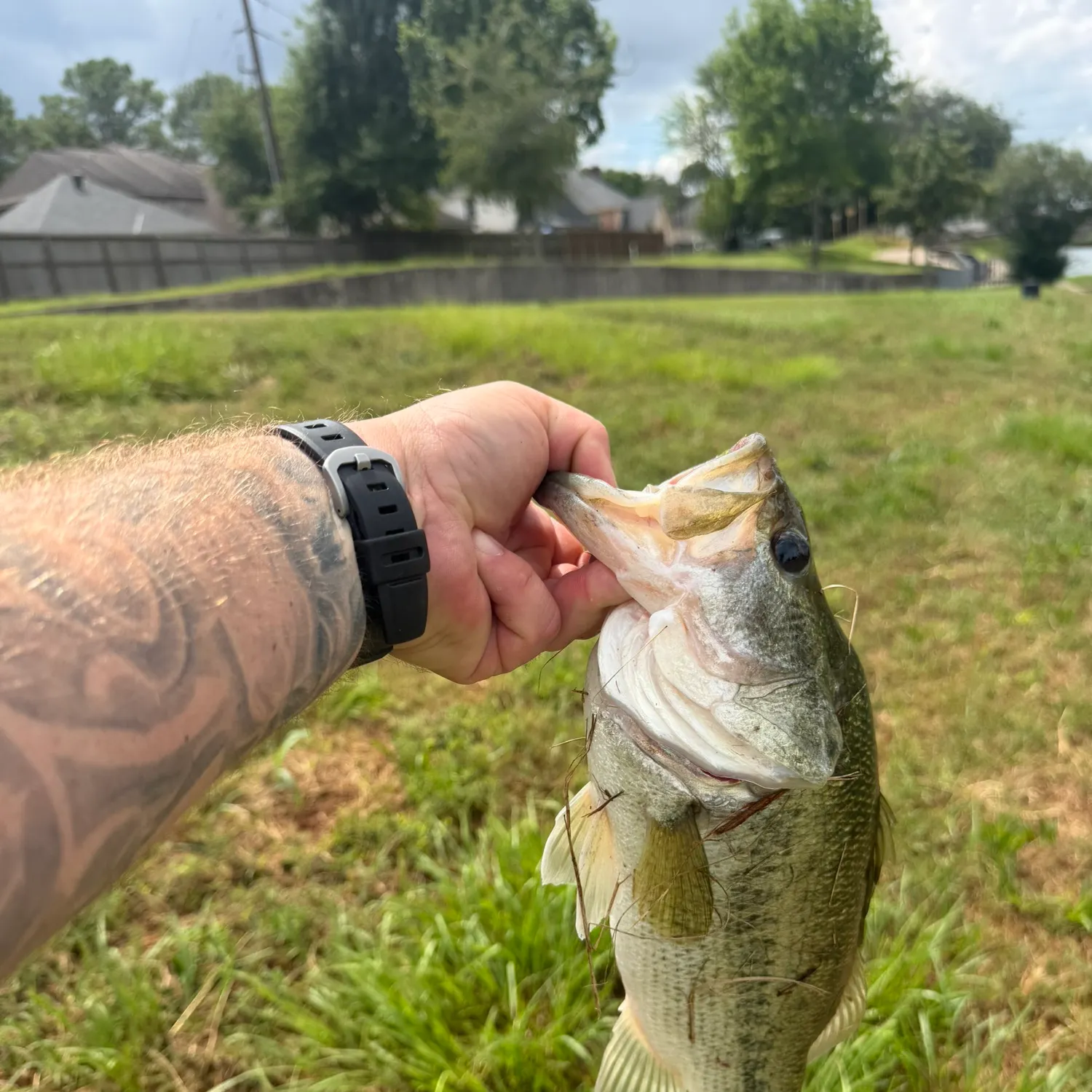 catch
