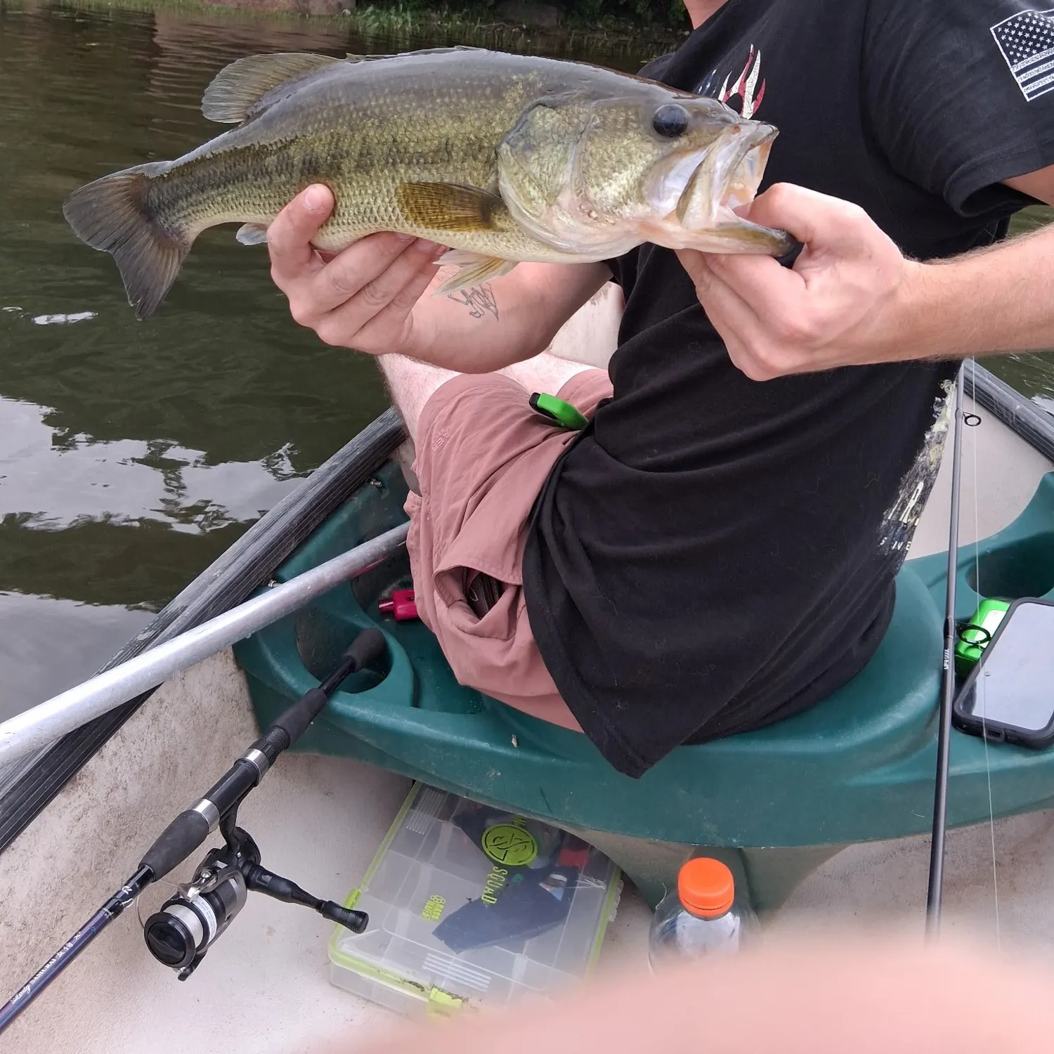 Largemouth bass caught on Fishbrain