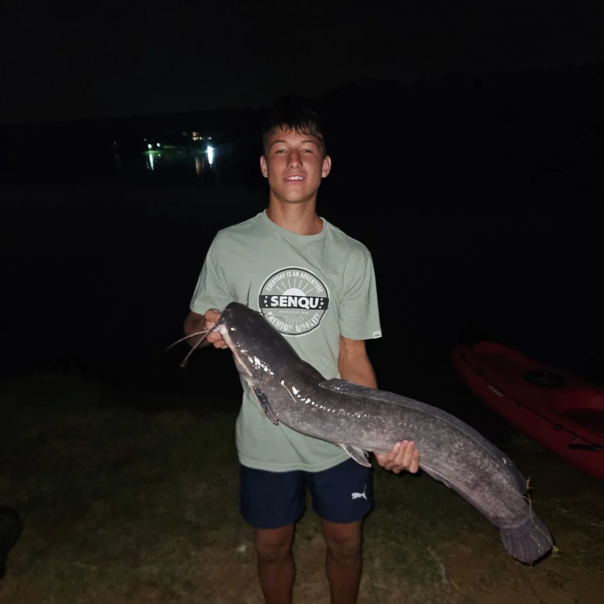 The most recent North African catfish catches on Fishbrain
