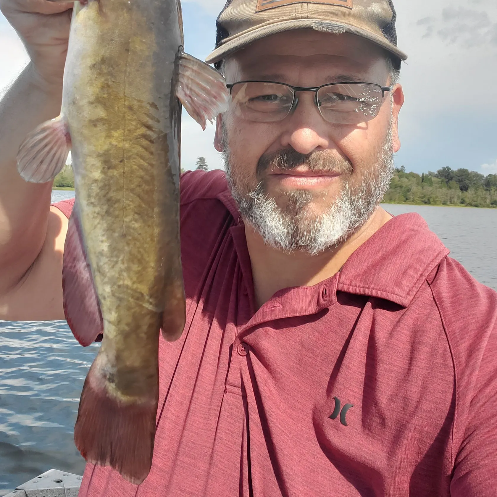 Brown bullhead caught on Fishbrain