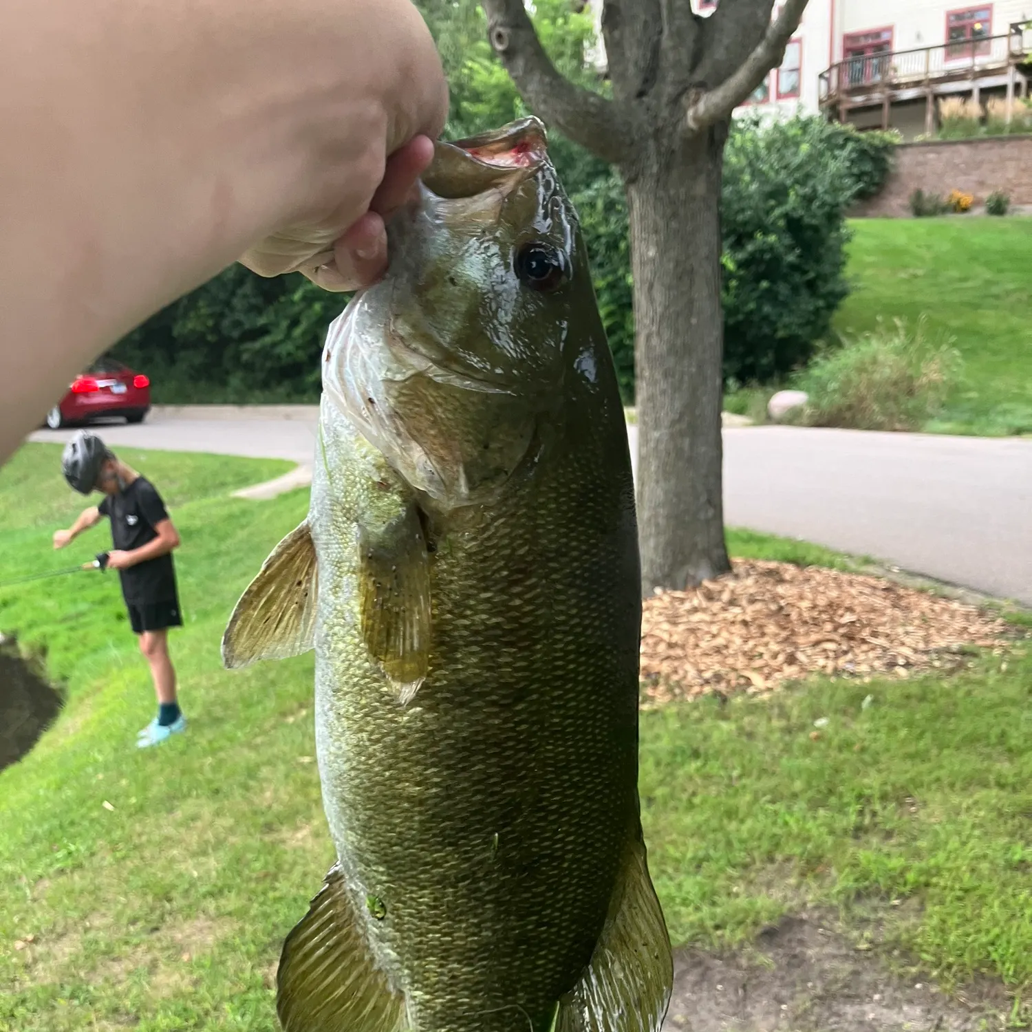Fish caught on Fishbrain