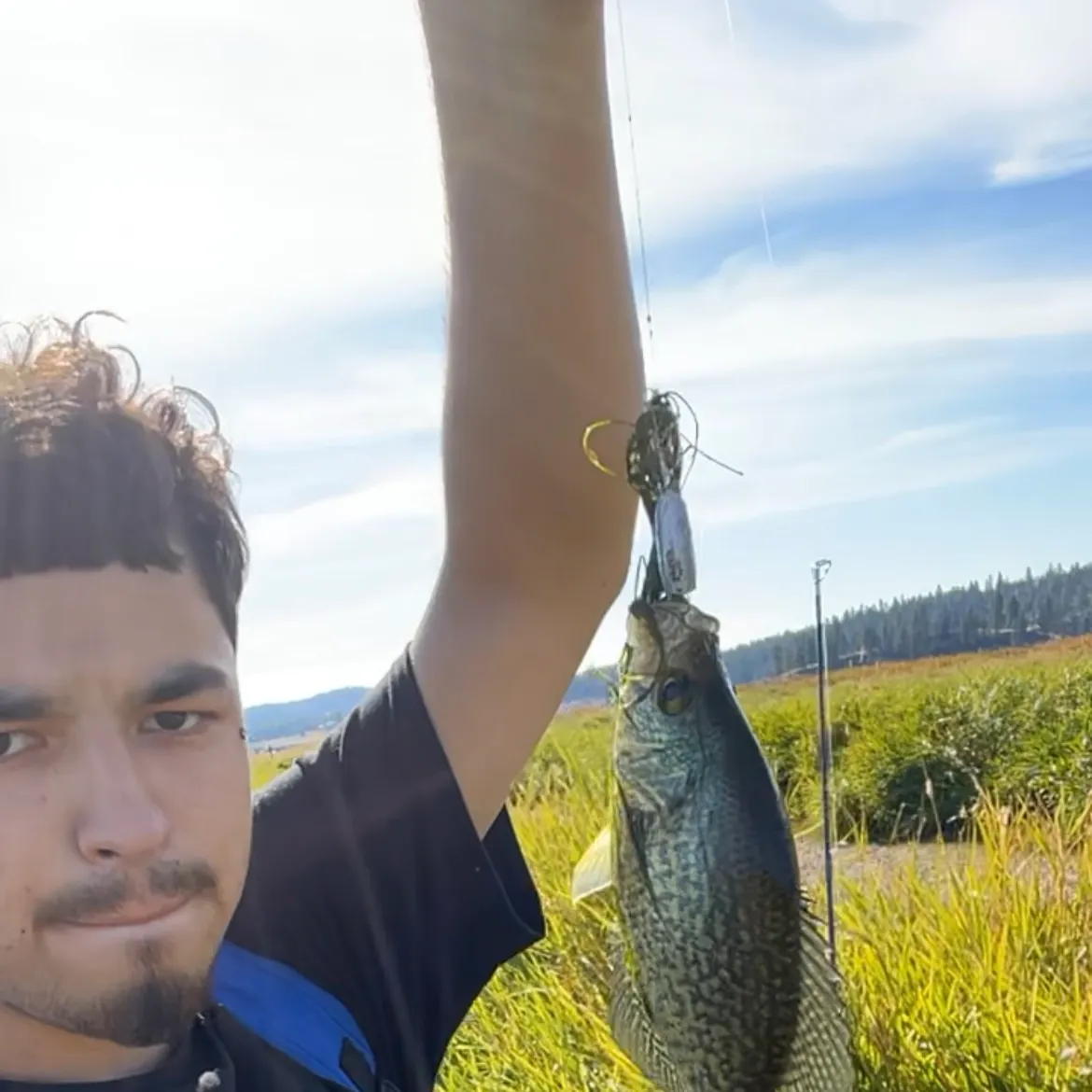 Black crappie caught on Fishbrain