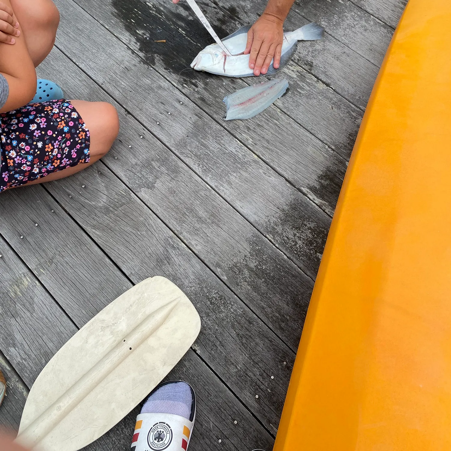 Summer flounder caught on Fishbrain