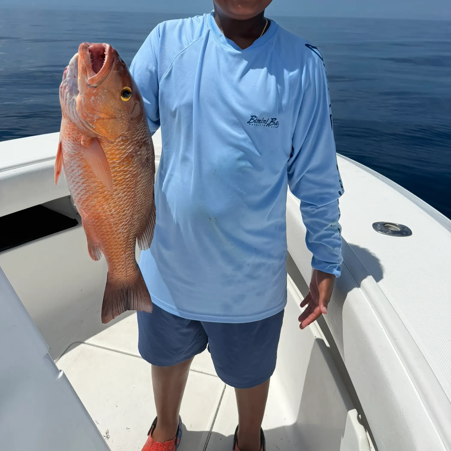 The most recent Mangrove red snapper catches on Fishbrain