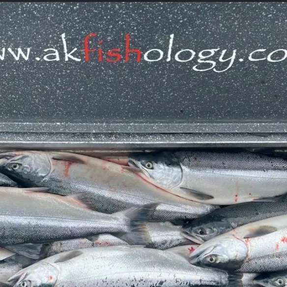 Sockeye salmon caught on Fishbrain