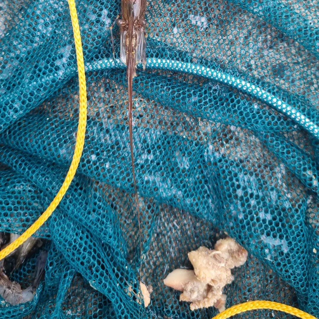 Fish caught on Fishbrain