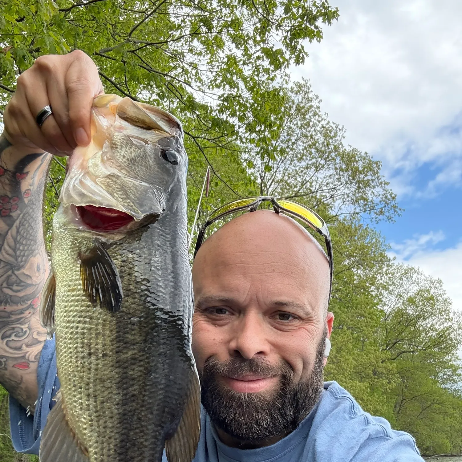 recently logged catches