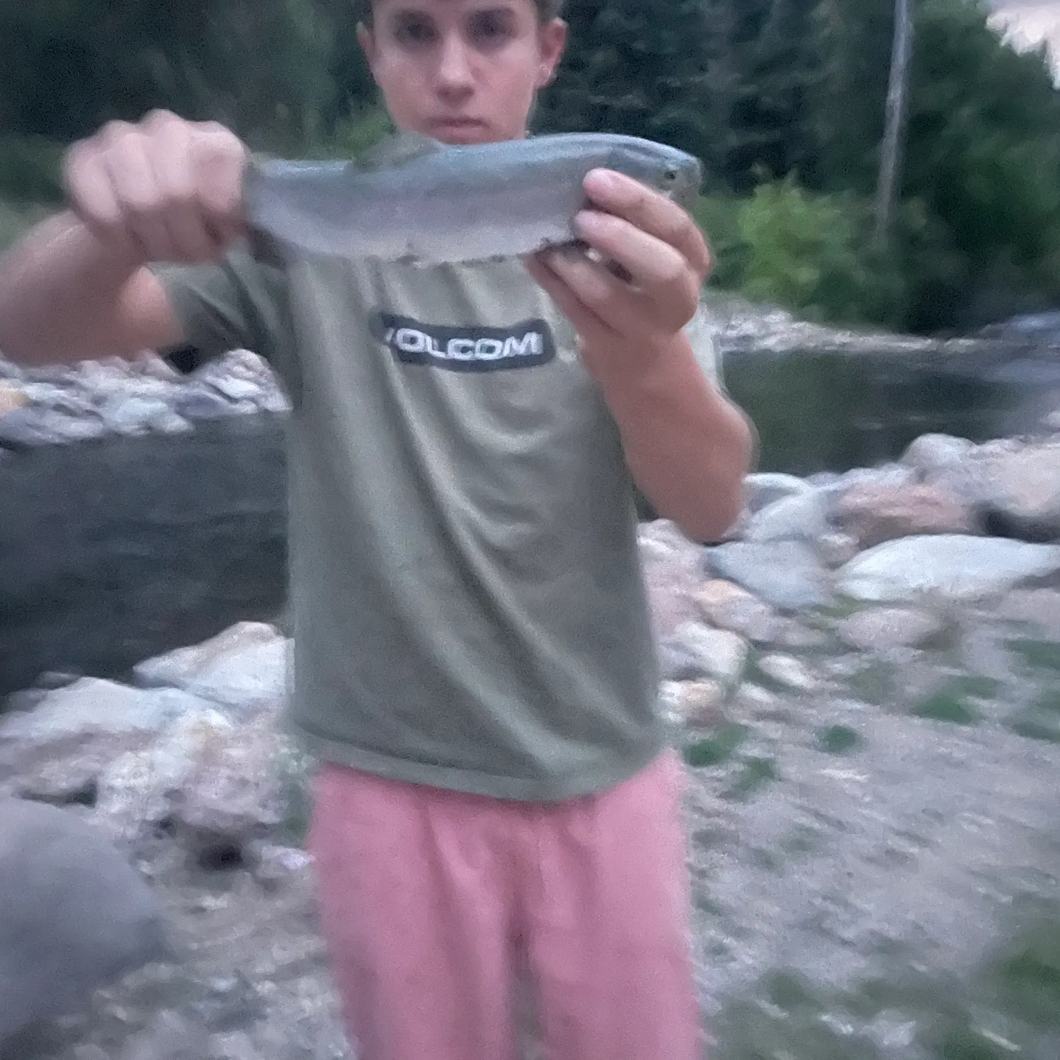 Rainbow trout caught on Fishbrain