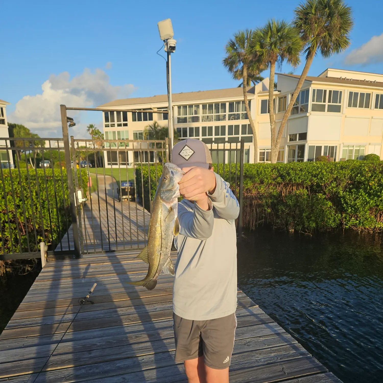 The most recent Common snook catches on Fishbrain