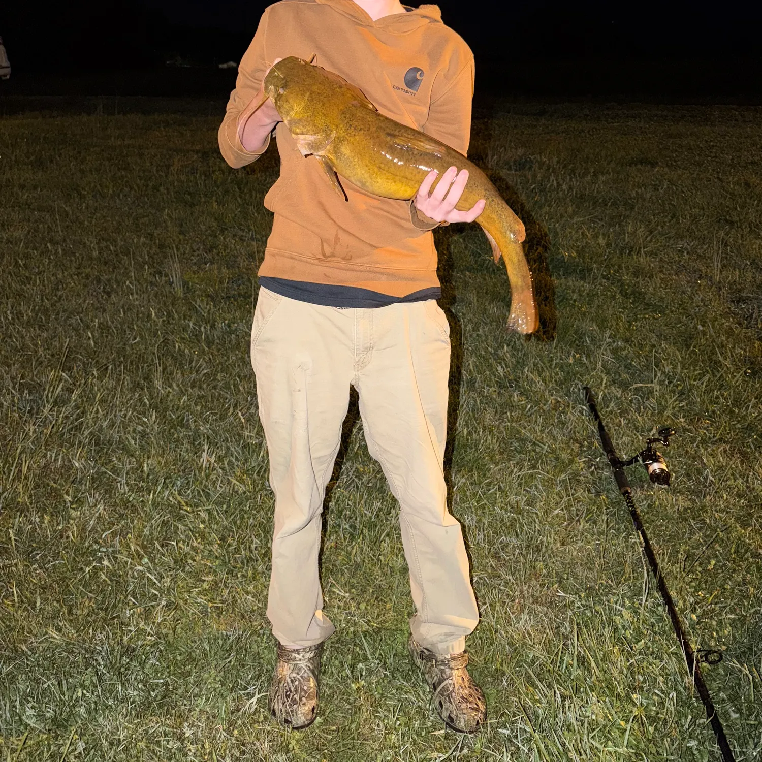 The most recent Flathead catfish catches on Fishbrain