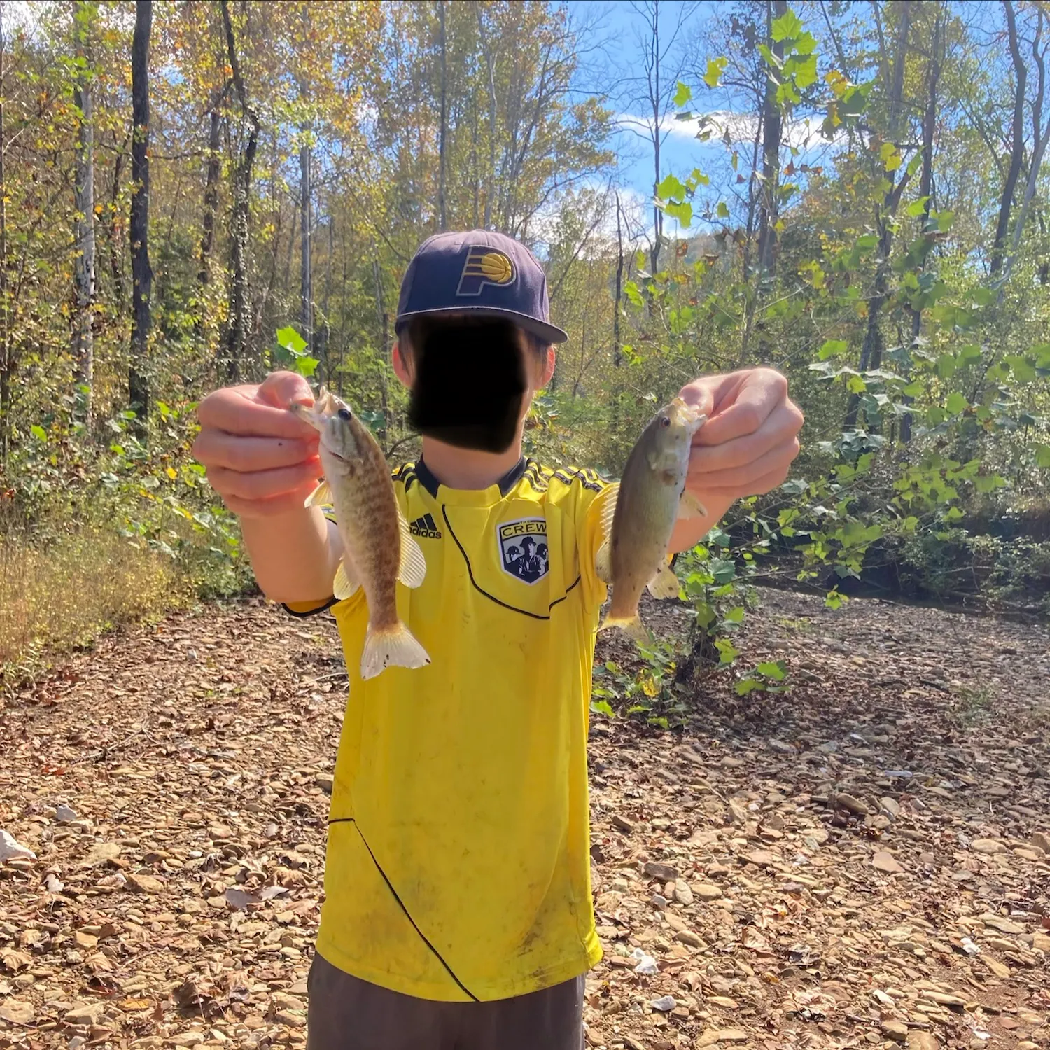 Smallmouth bass caught on Fishbrain
