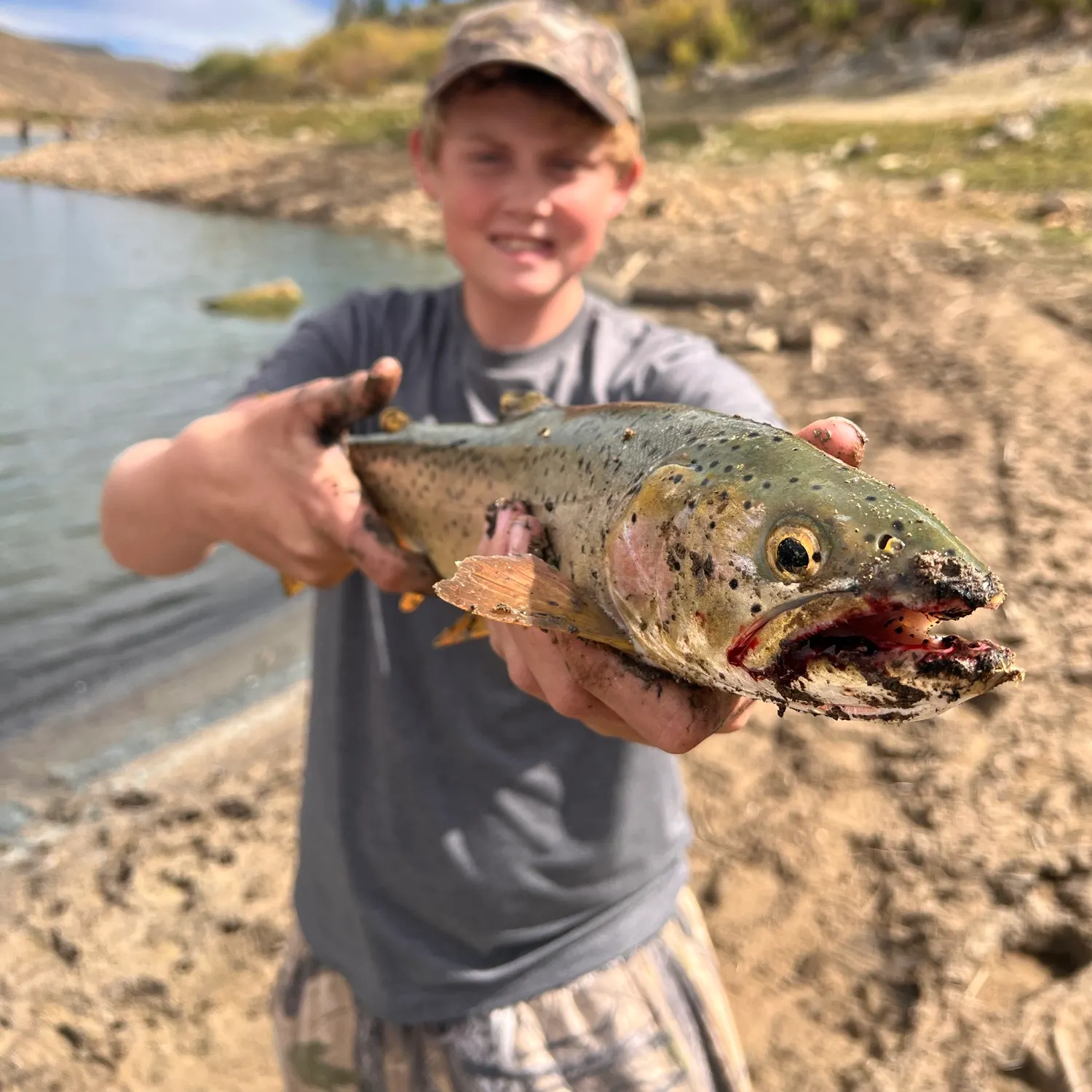 Cutthroat trout caught on Fishbrain