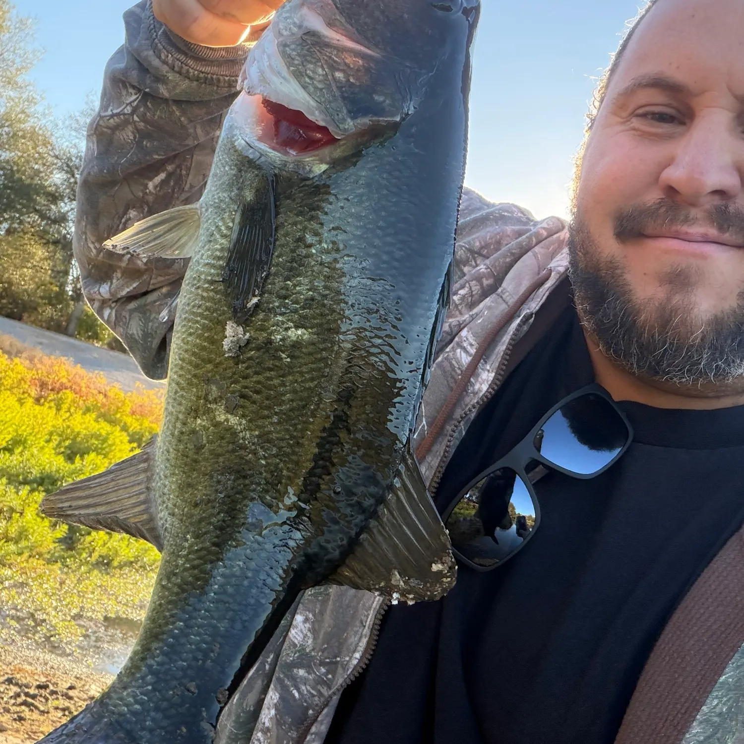 Largemouth bass caught on Fishbrain