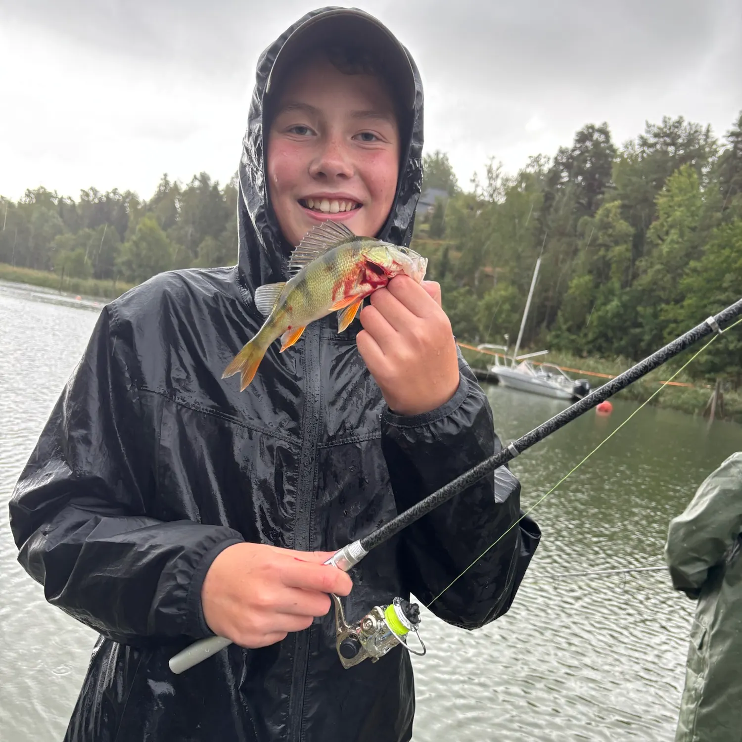 European perch caught on Fishbrain