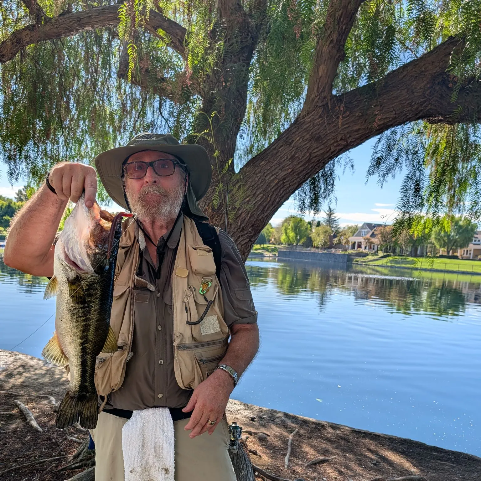 Largemouth bass caught on Fishbrain
