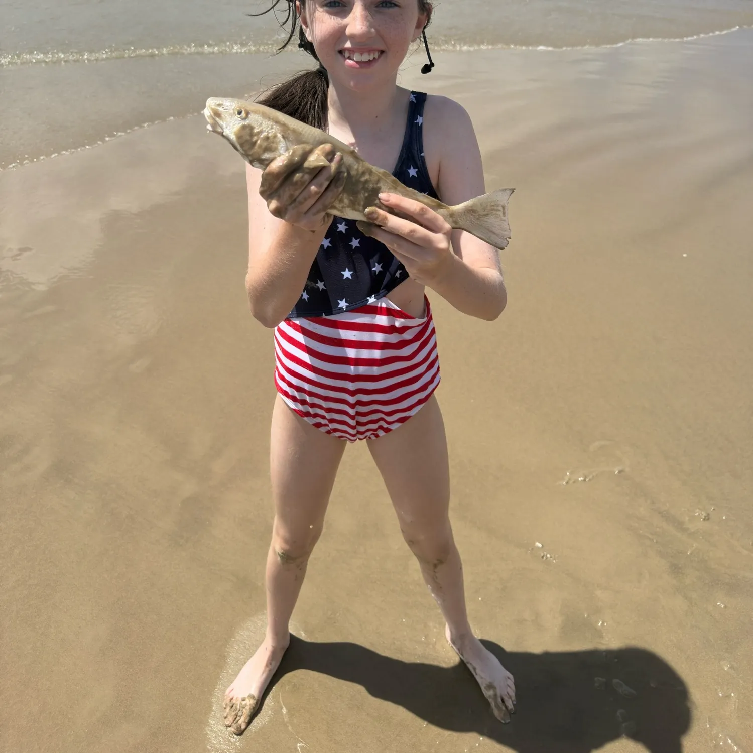 The most recent Pacific whiting catches on Fishbrain