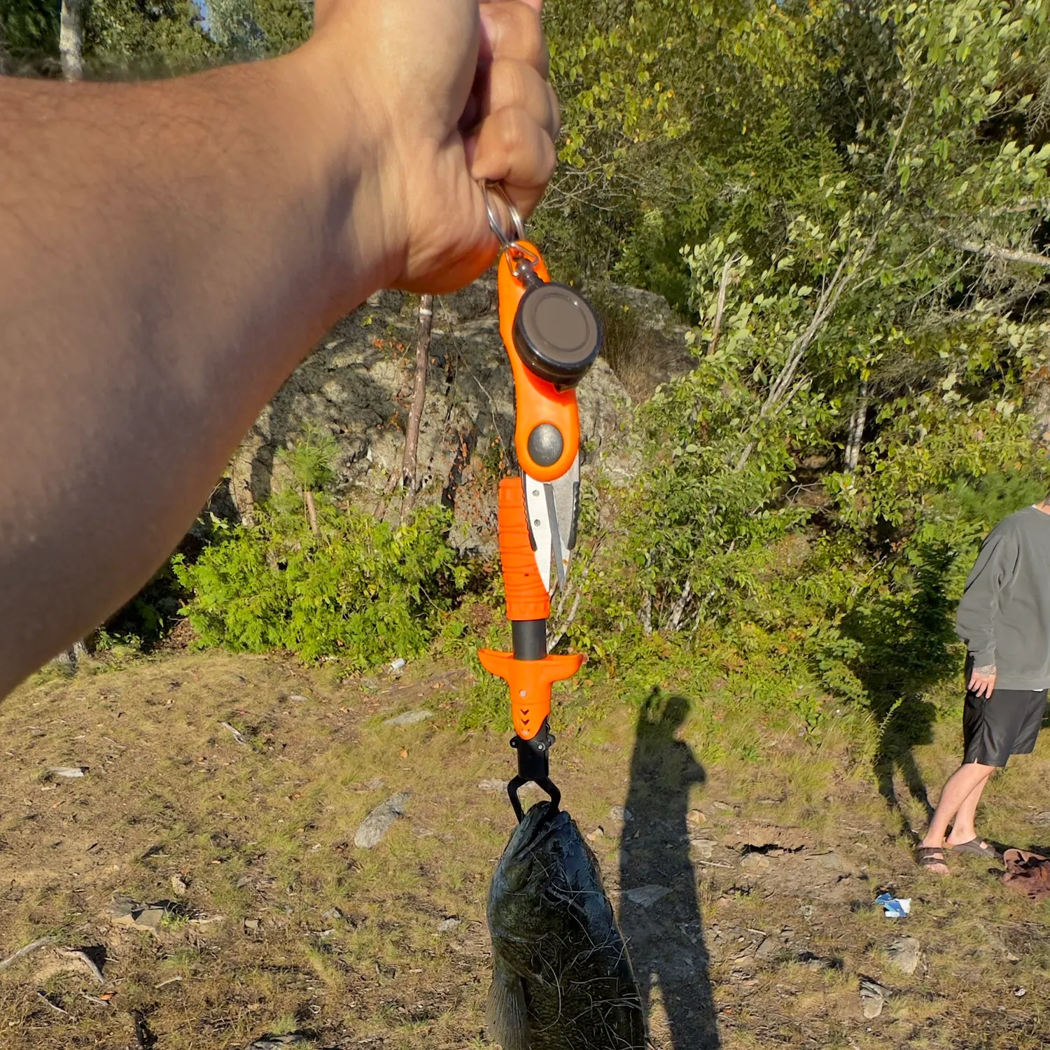 Fish caught on Fishbrain