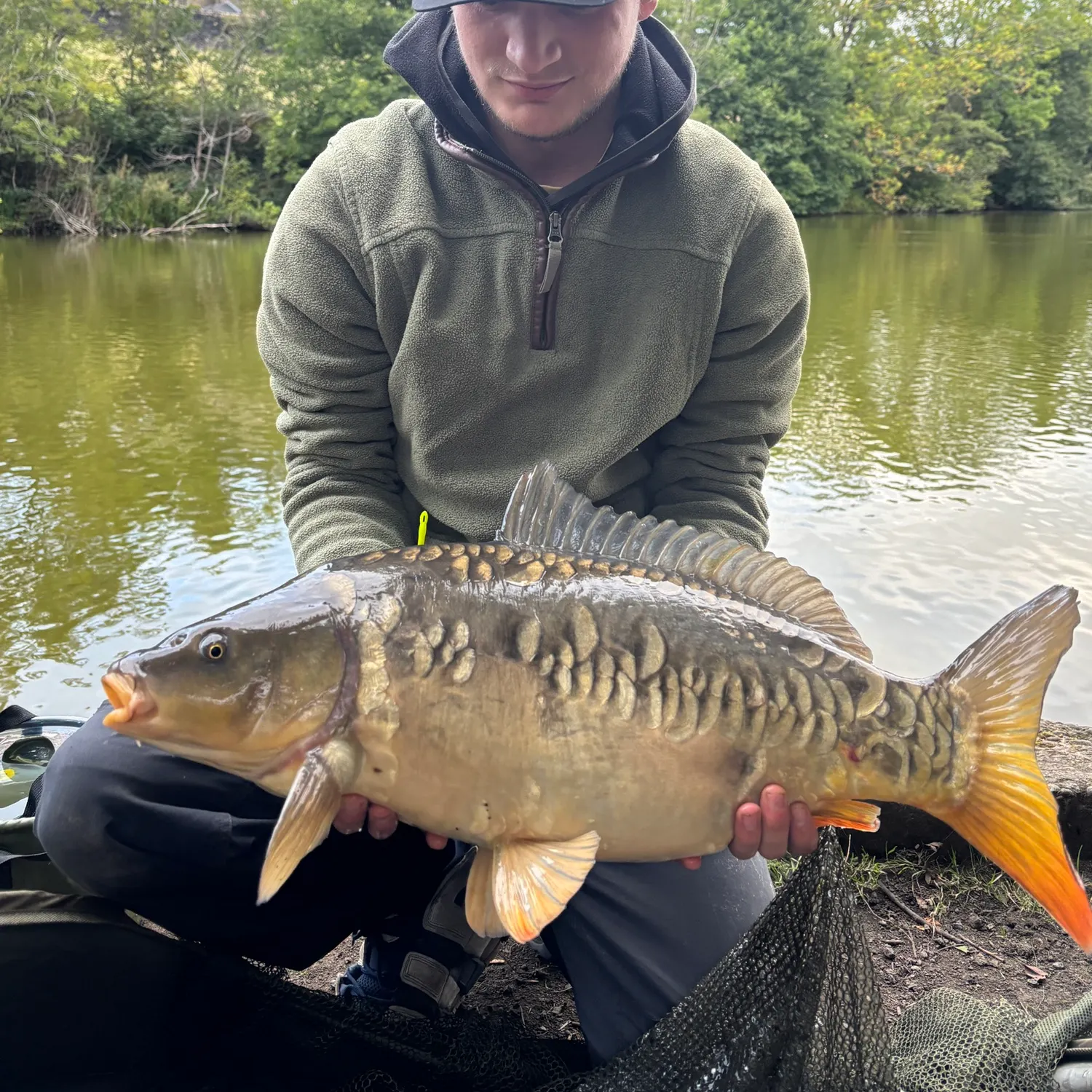 Mirror carp caught on Fishbrain